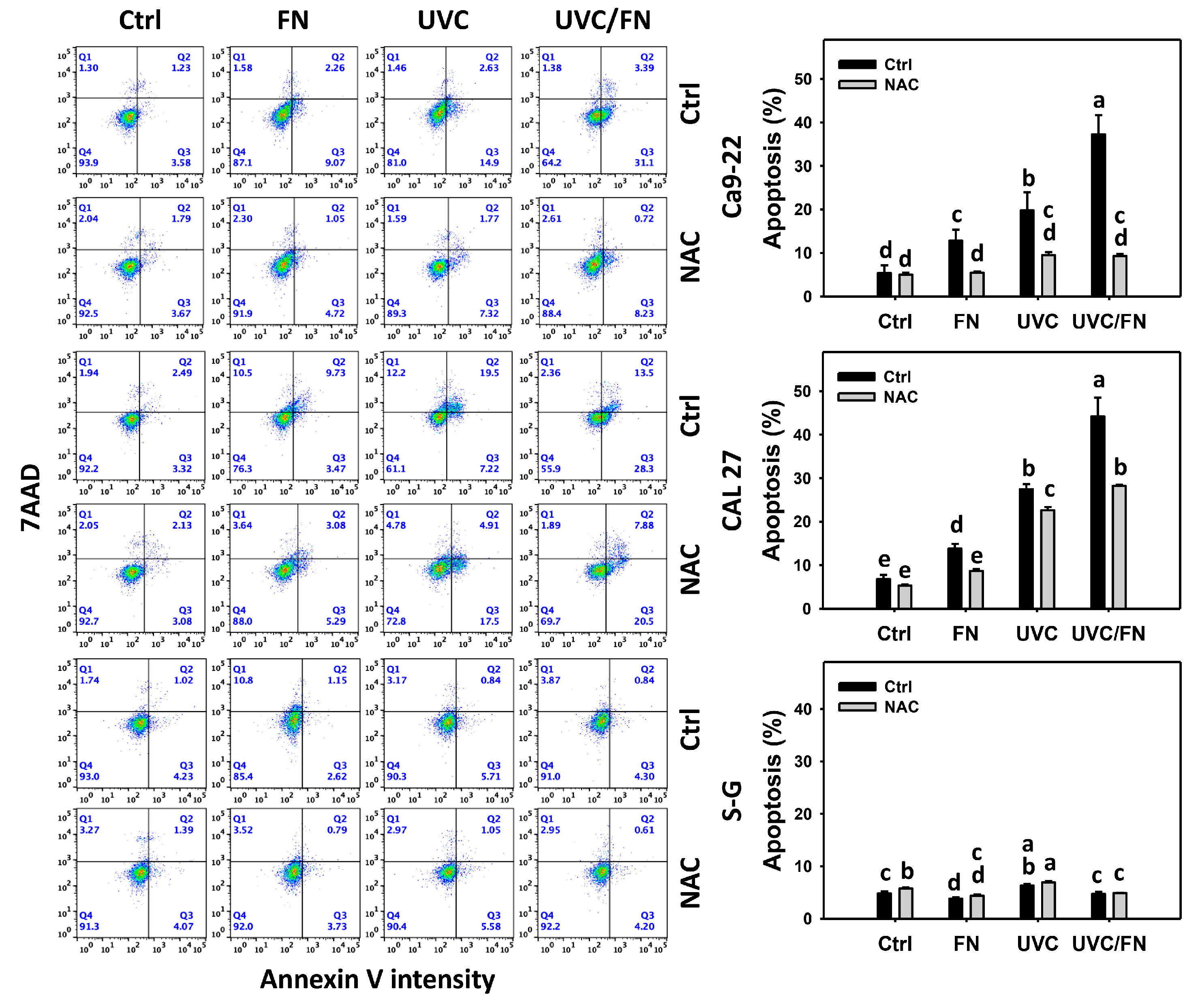 Antioxidants 11 01797 g003 Antioxidants 11 01797 g003