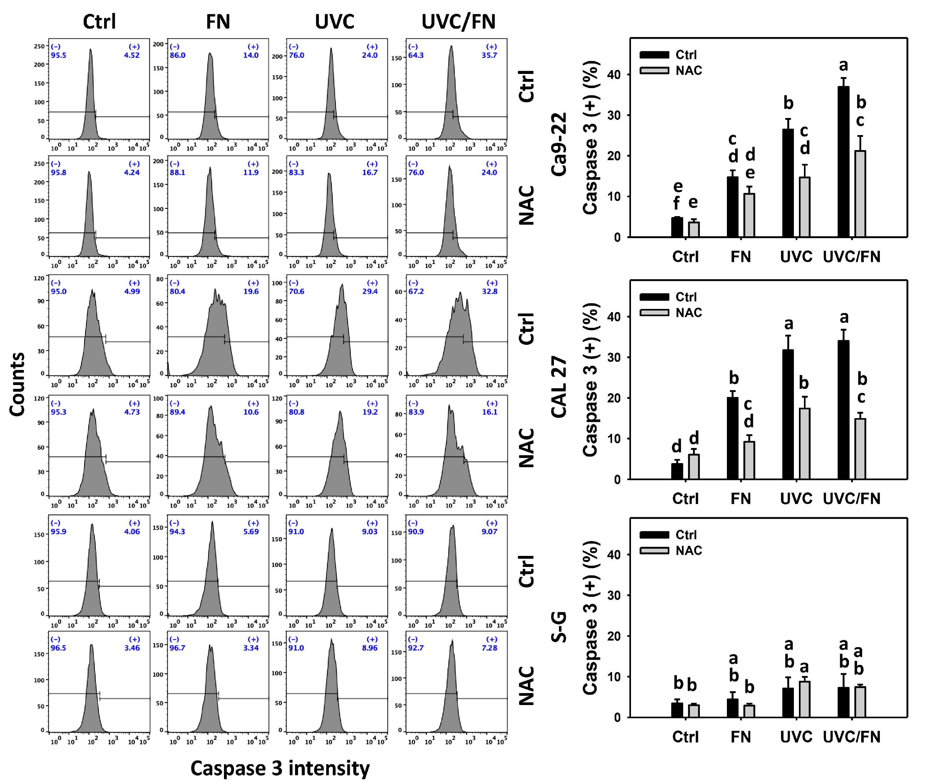 Antioxidants 11 01797 g004 Antioxidants 11 01797 g004