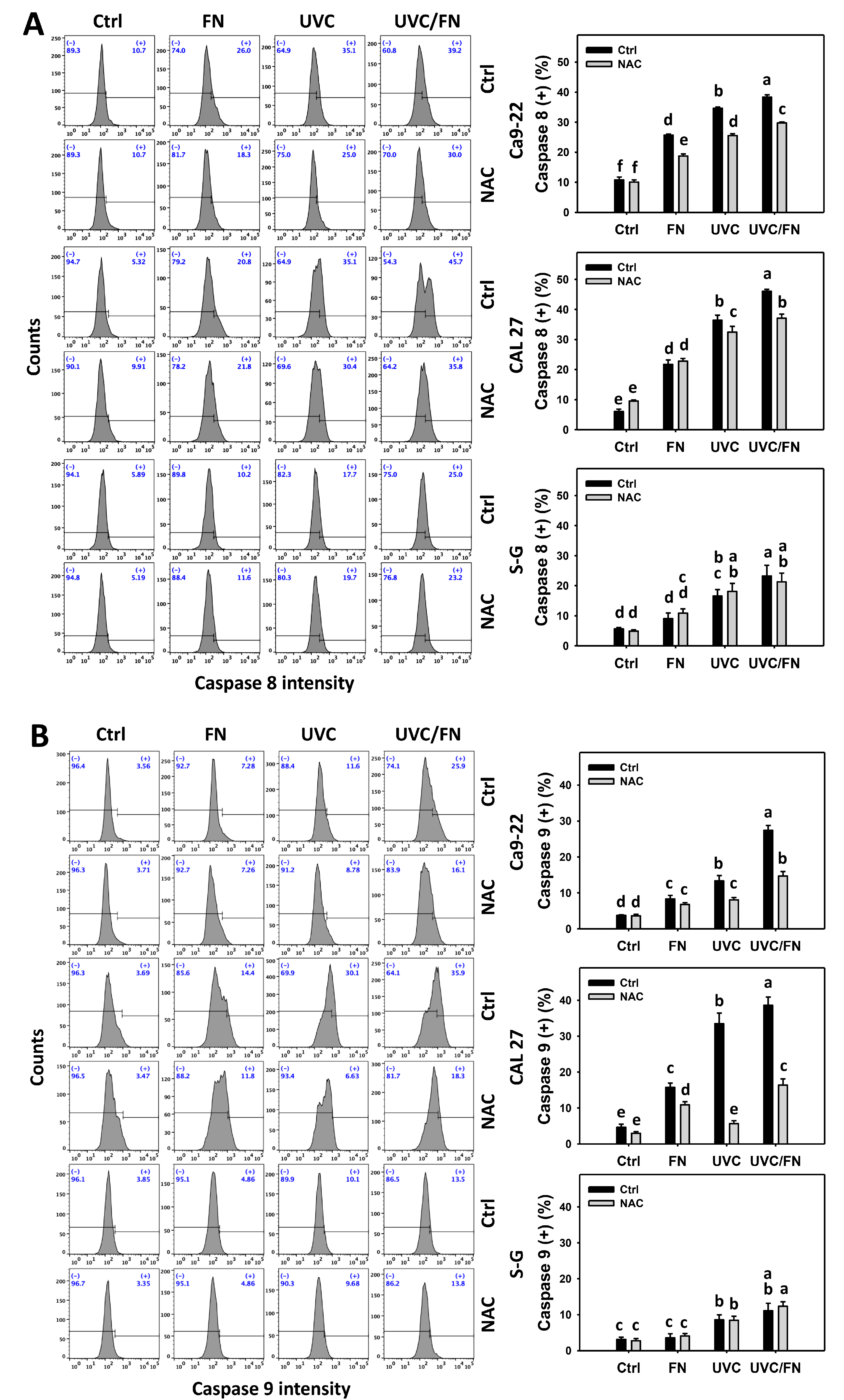 Antioxidants 11 01797 g005 Antioxidants 11 01797 g005
