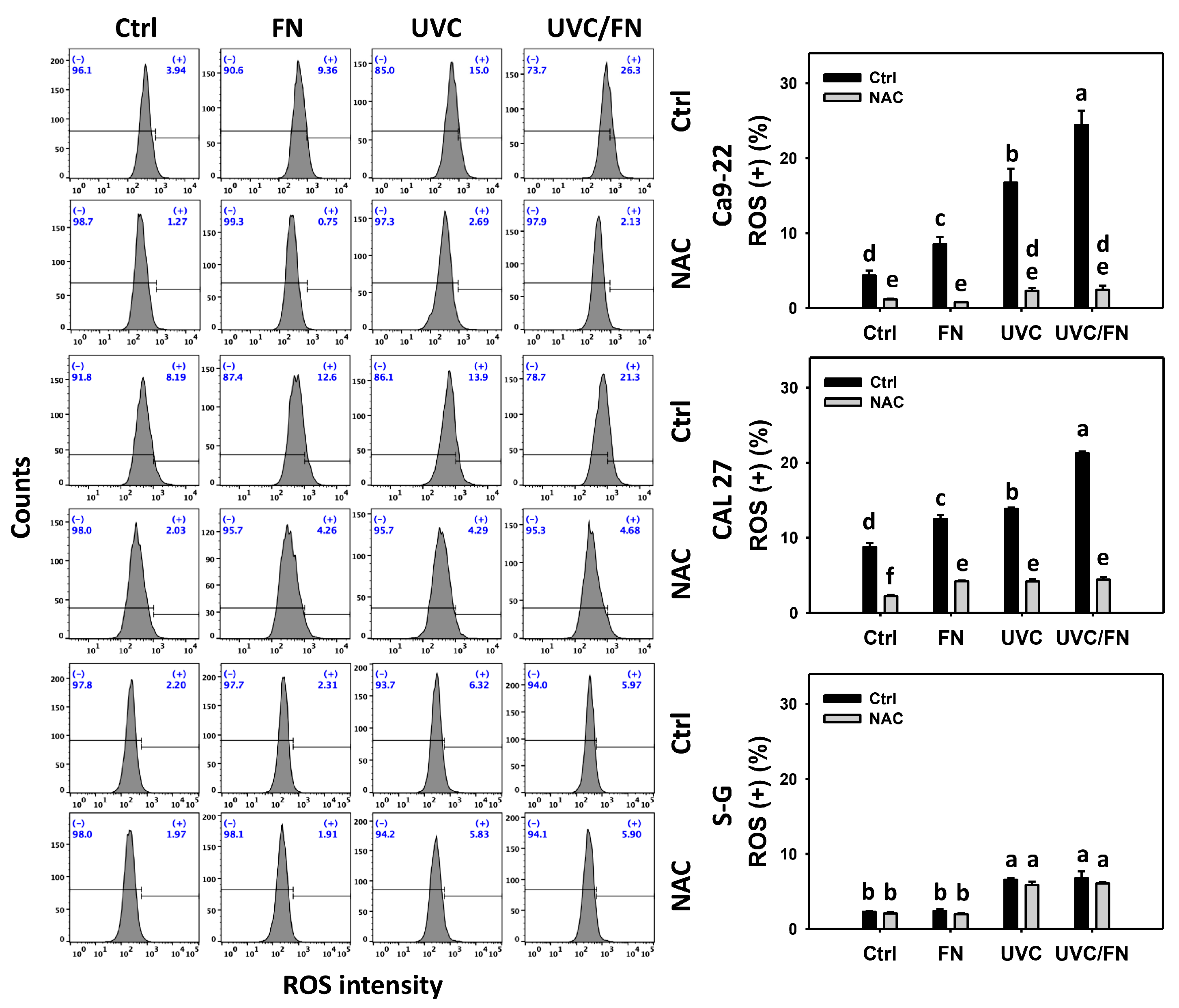 Antioxidants 11 01797 g006 Antioxidants 11 01797 g006