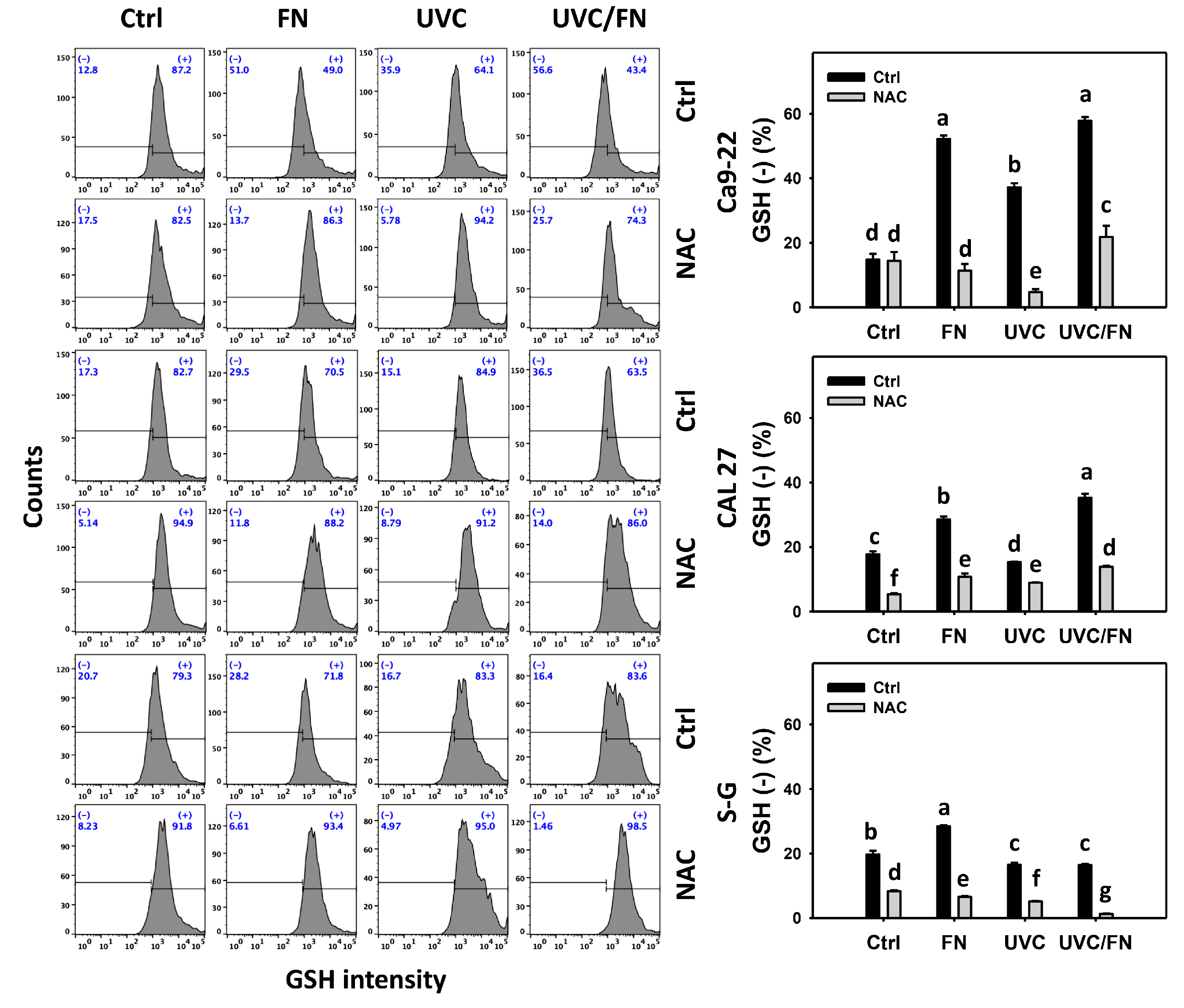 Antioxidants 11 01797 g008 Antioxidants 11 01797 g008
