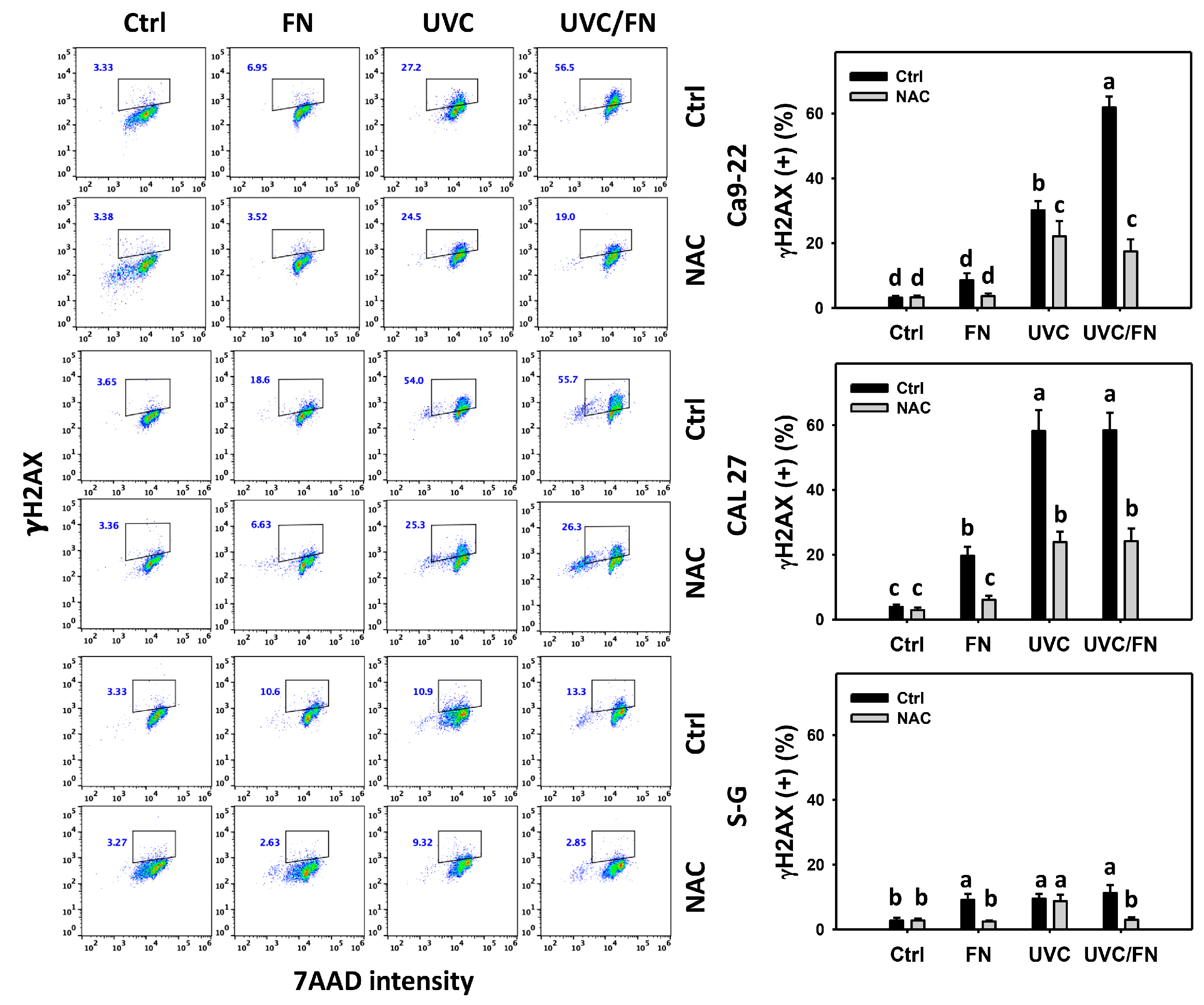 Antioxidants 11 01797 g009 Antioxidants 11 01797 g009