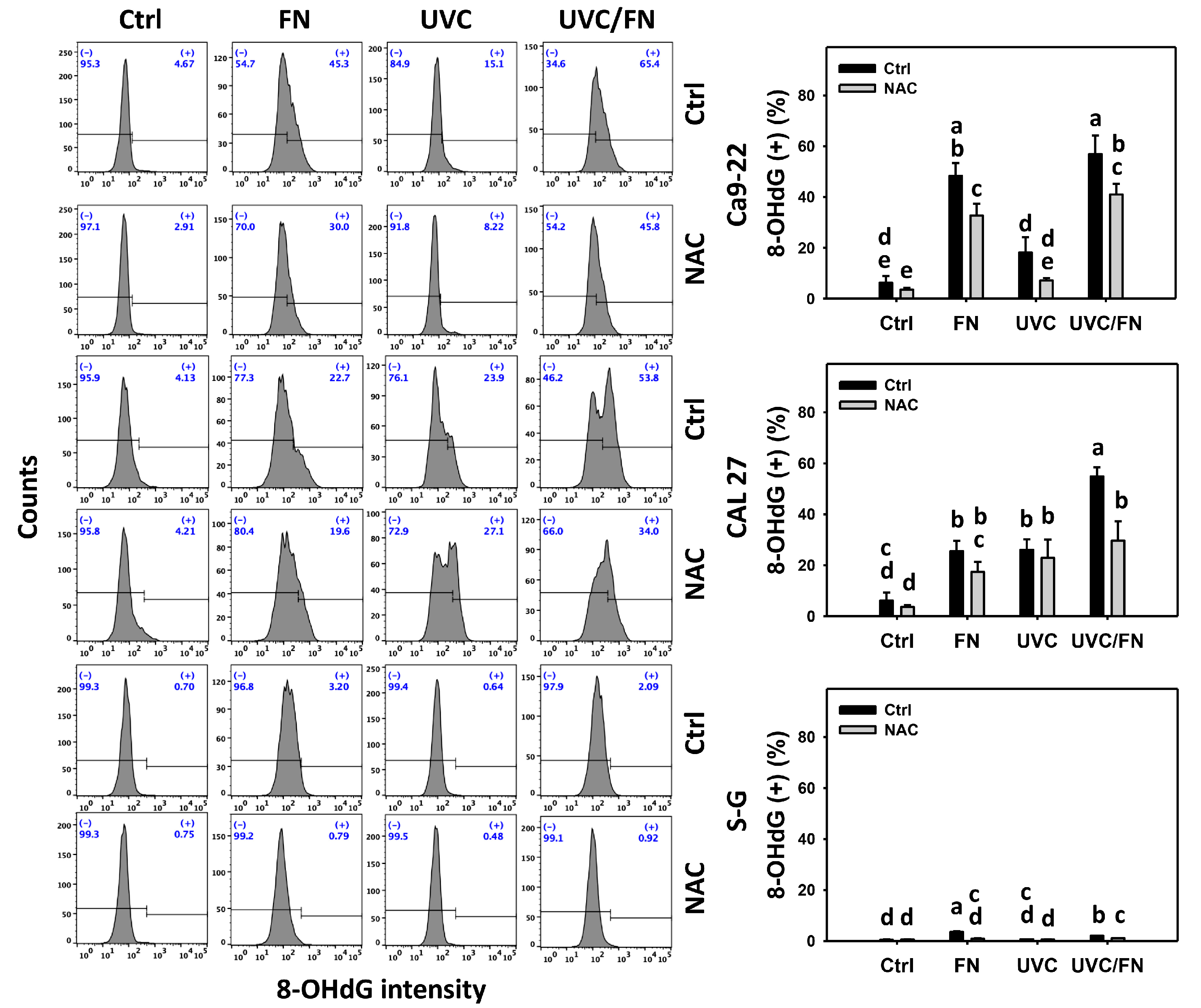 Antioxidants 11 01797 g010 Antioxidants 11 01797 g010