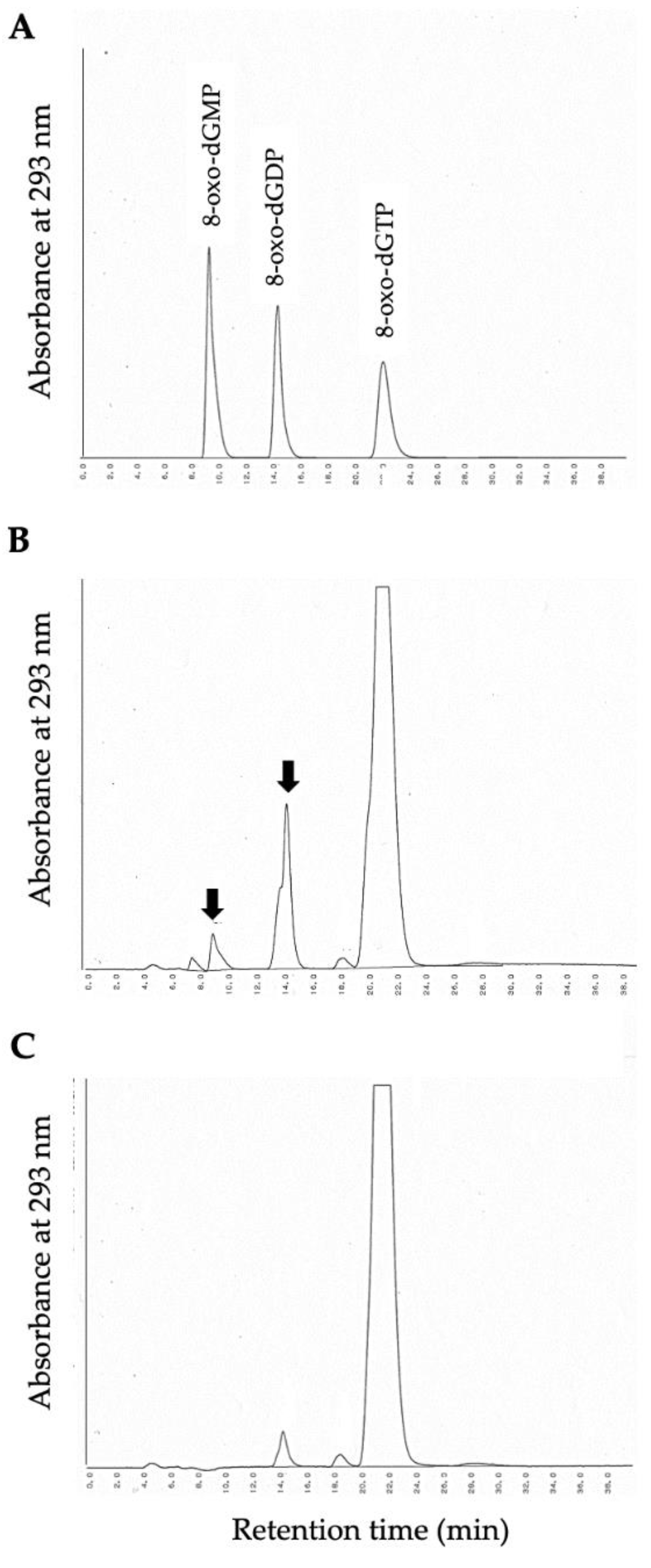 Antioxidants 11 01805 g004 550
