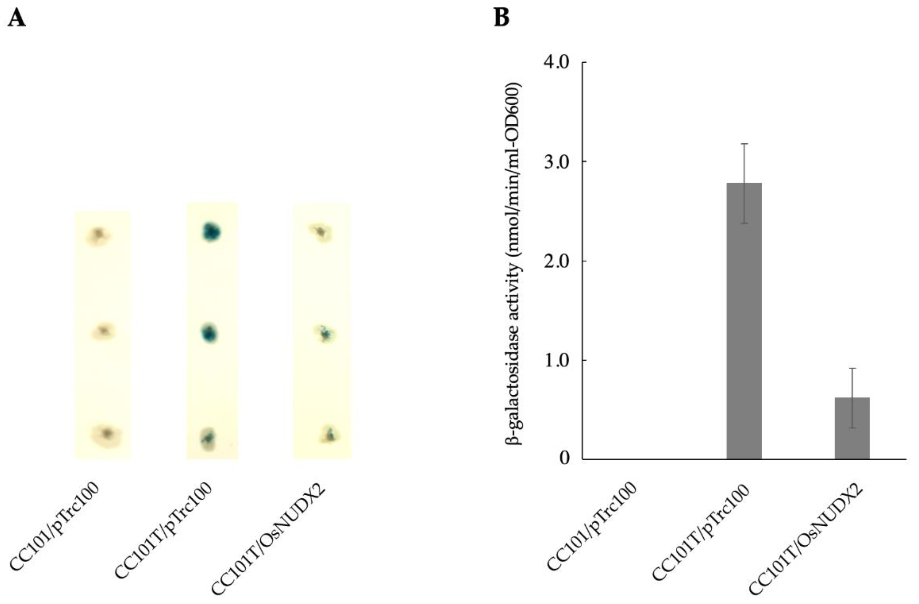 Antioxidants 11 01805 g005 550