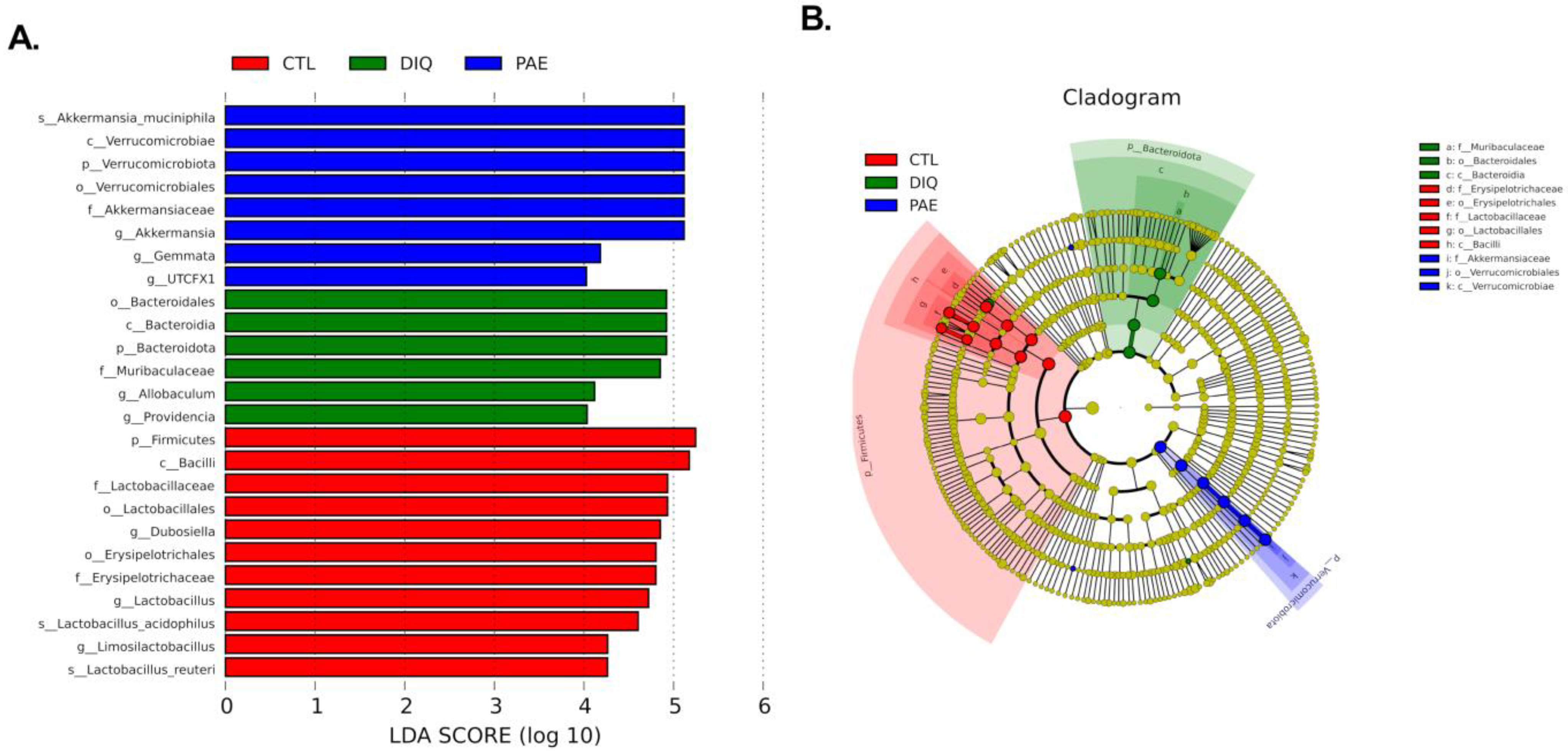 Antioxidants 11 01806 g007 550