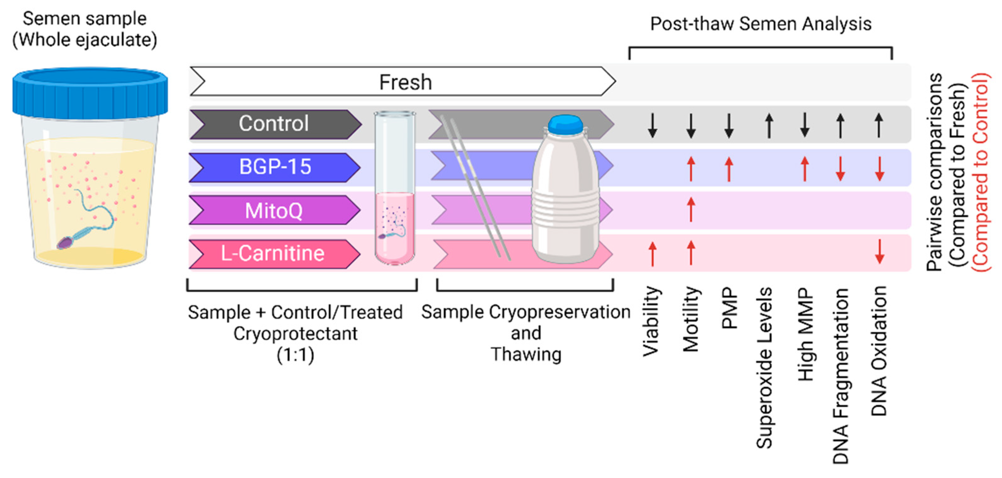Antioxidants 11 01808 g004