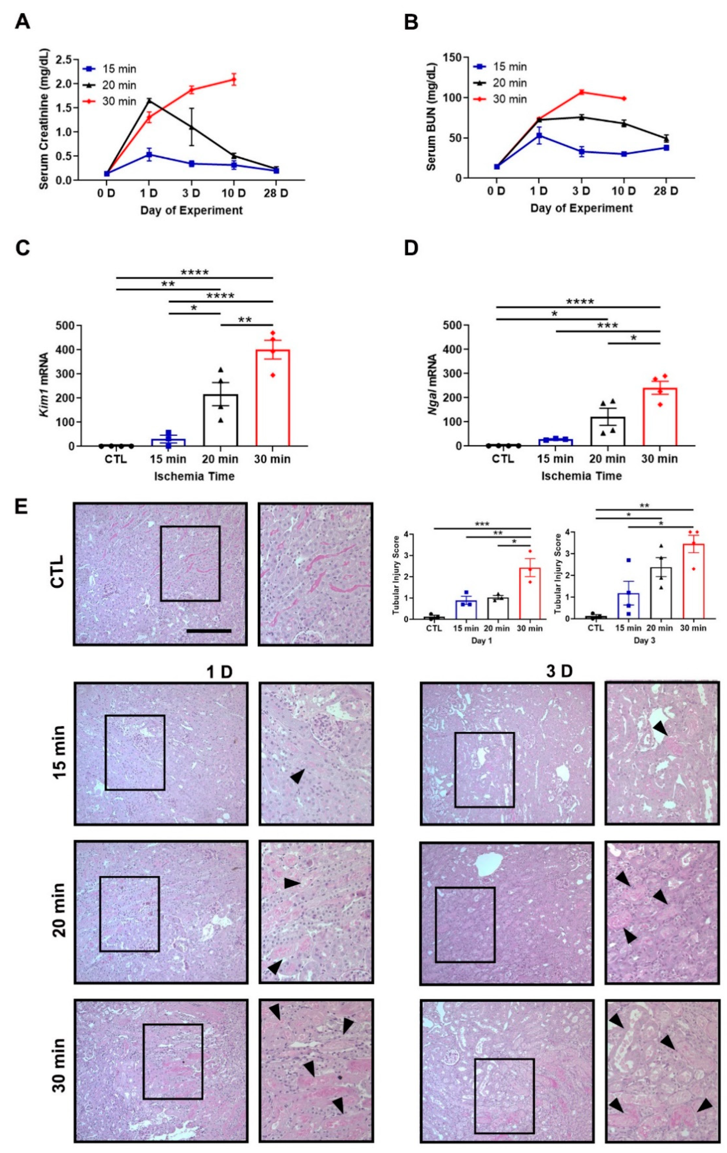 Antioxidants 11 01810 g001 Antioxidants 11 01810 g001