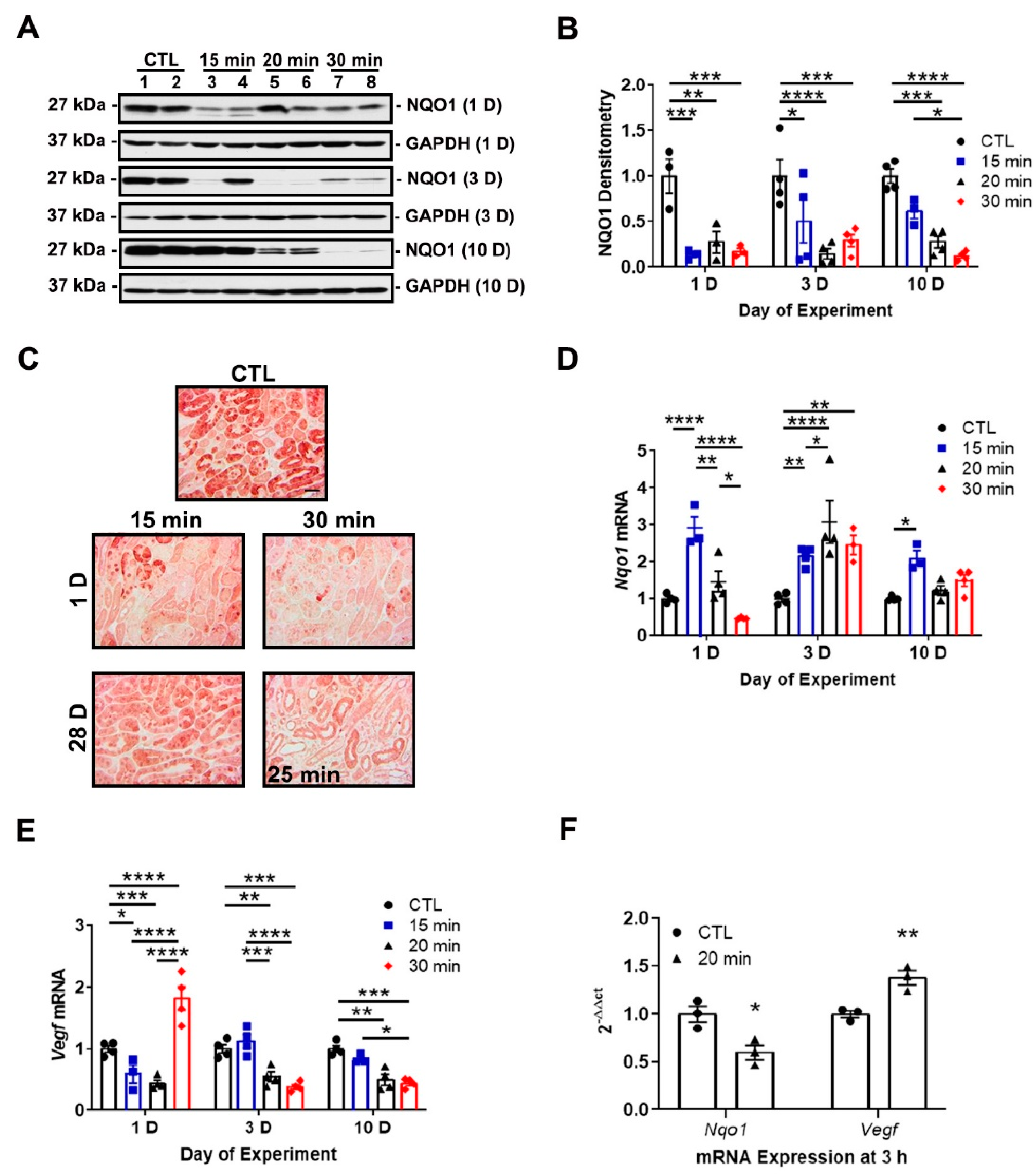 Antioxidants 11 01810 g003 Antioxidants 11 01810 g003