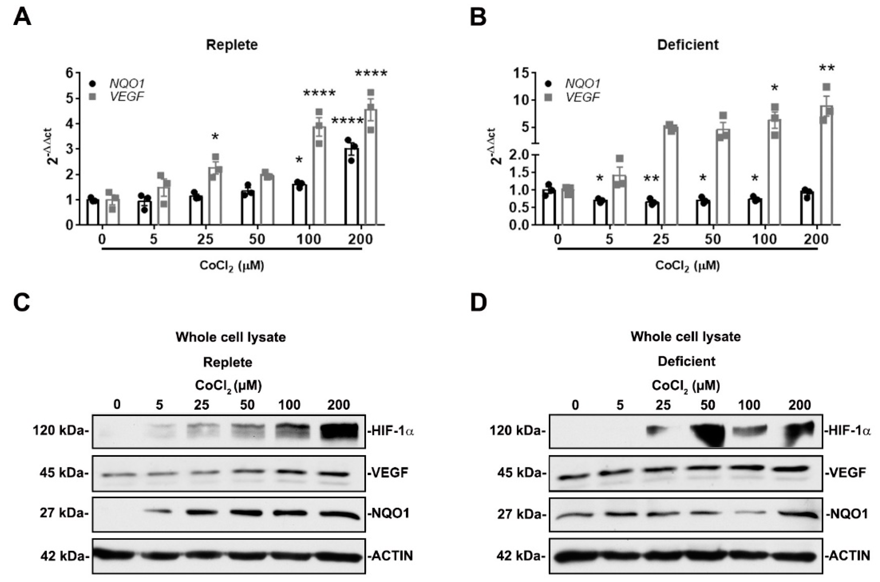 Antioxidants 11 01810 g005 Antioxidants 11 01810 g005
