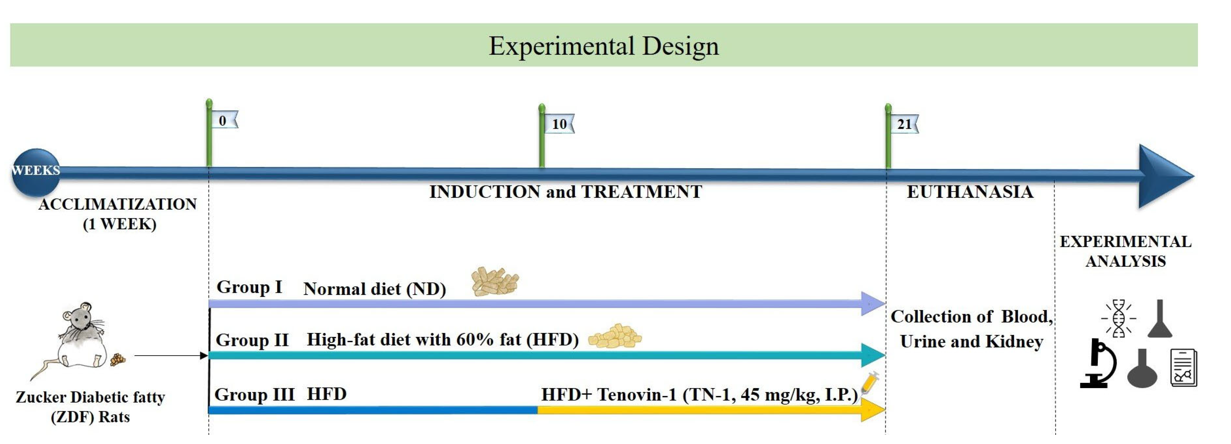 Antioxidants 11 01812 g001 Antioxidants 11 01812 g001