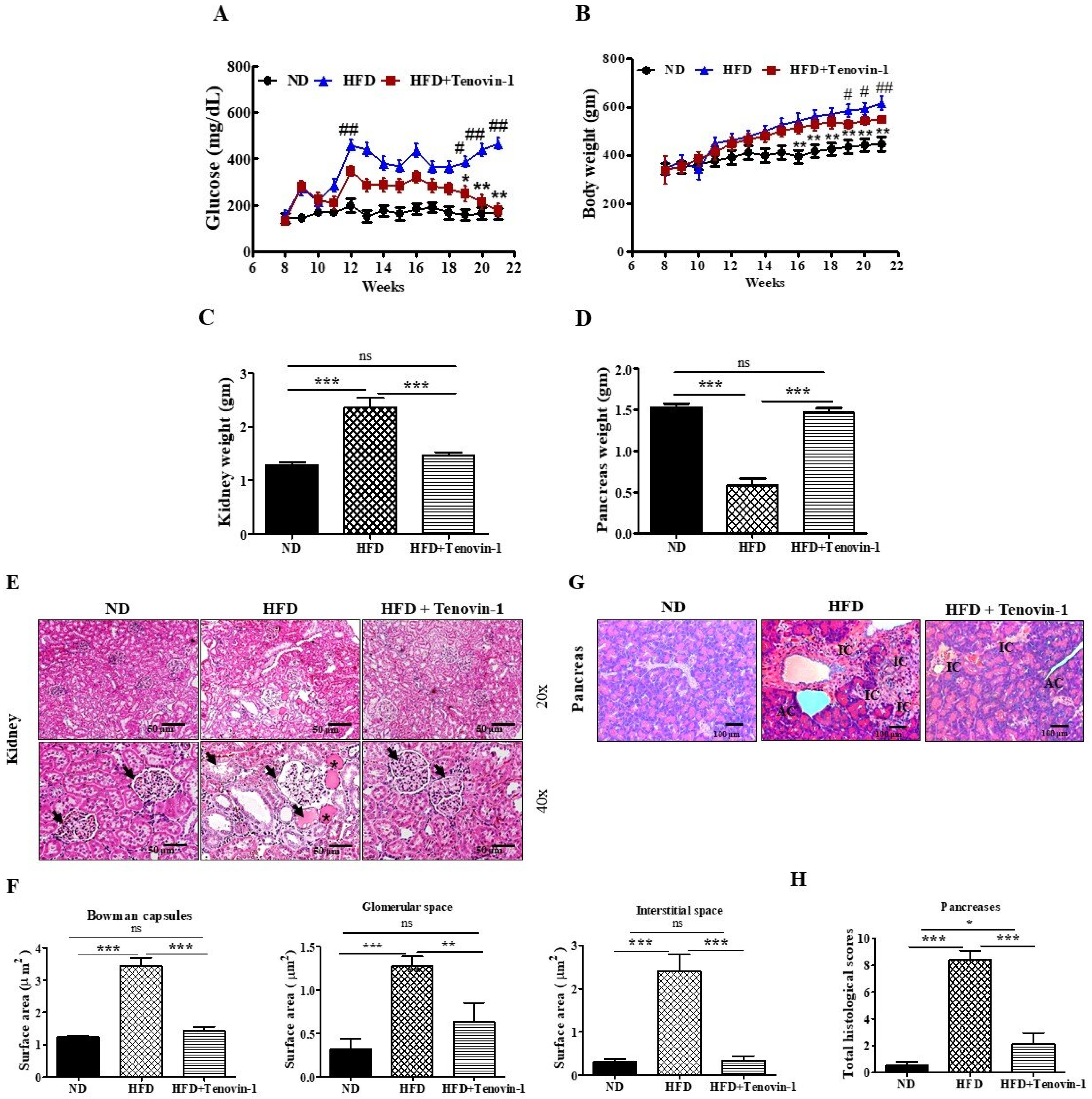 Antioxidants 11 01812 g002 Antioxidants 11 01812 g002