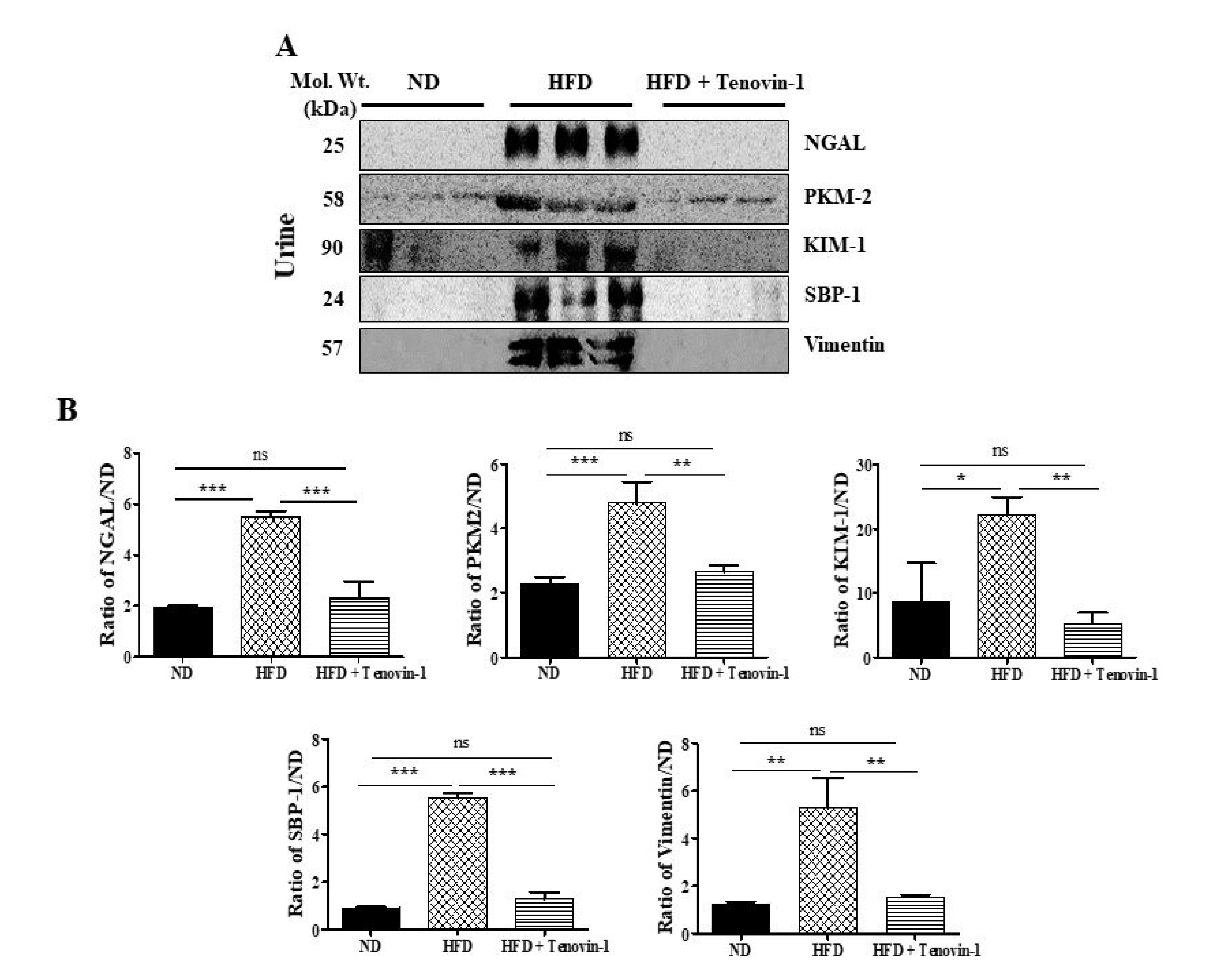 Antioxidants 11 01812 g005 Antioxidants 11 01812 g005