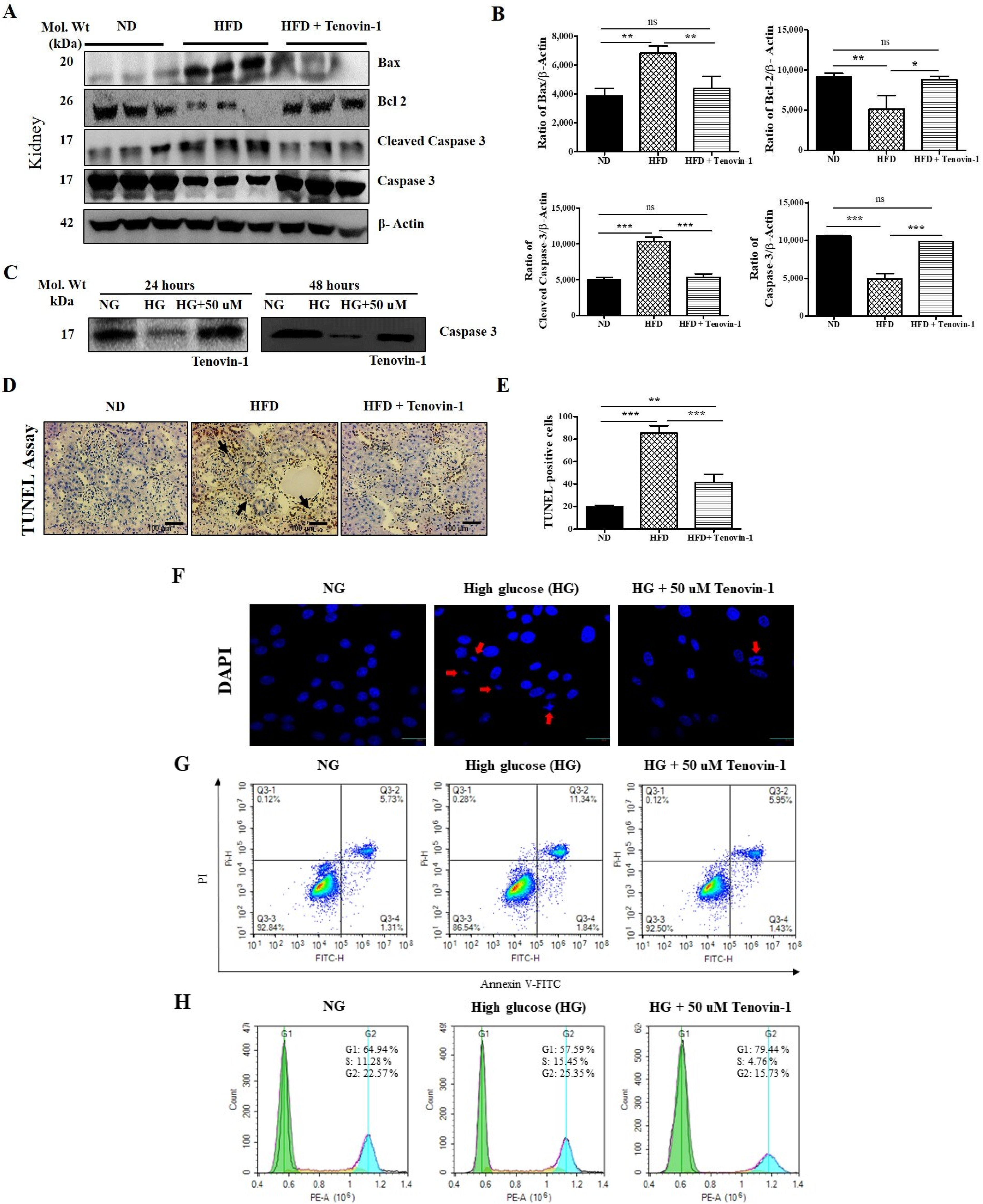 Antioxidants 11 01812 g007 Antioxidants 11 01812 g007