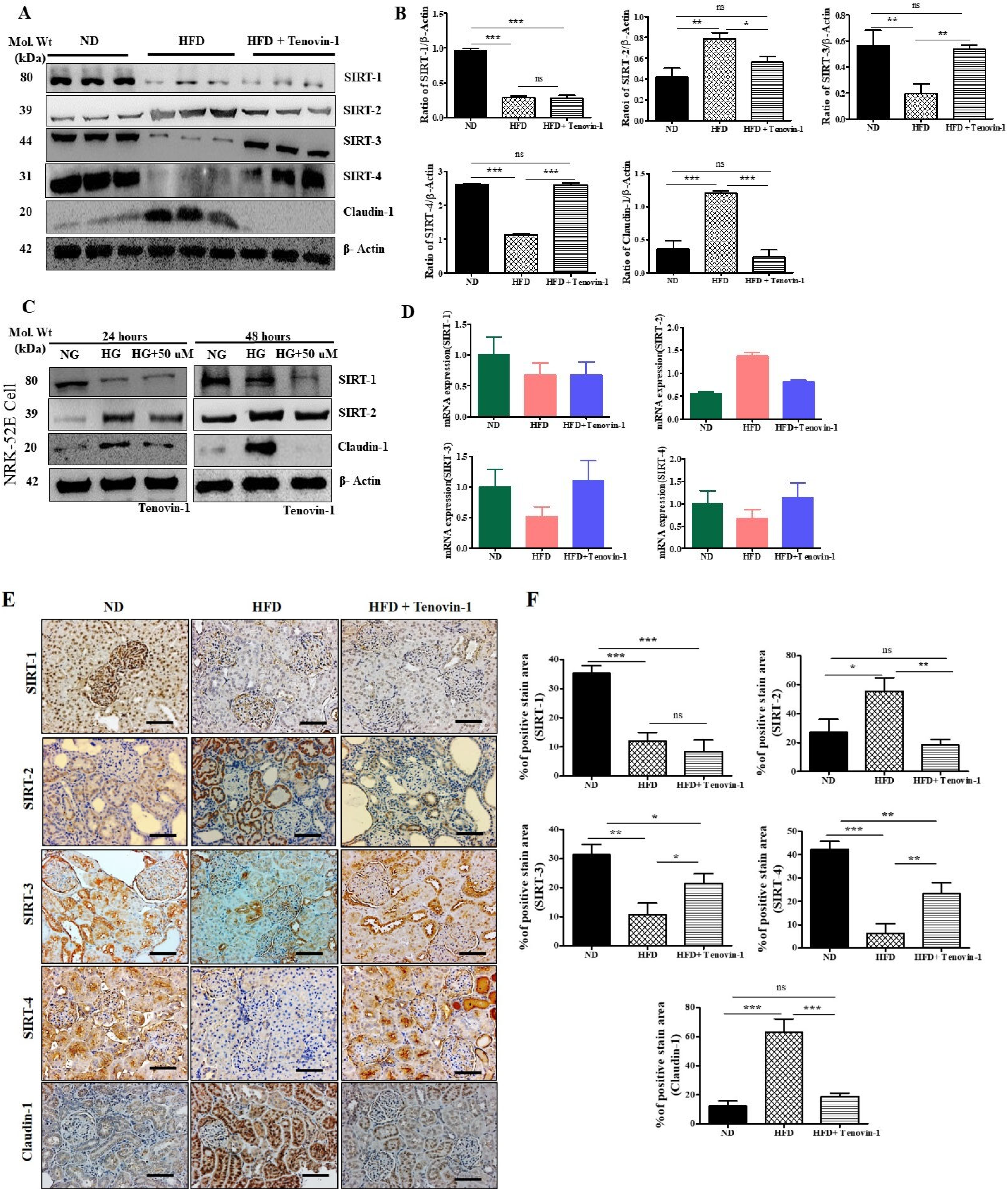 Antioxidants 11 01812 g008 Antioxidants 11 01812 g008