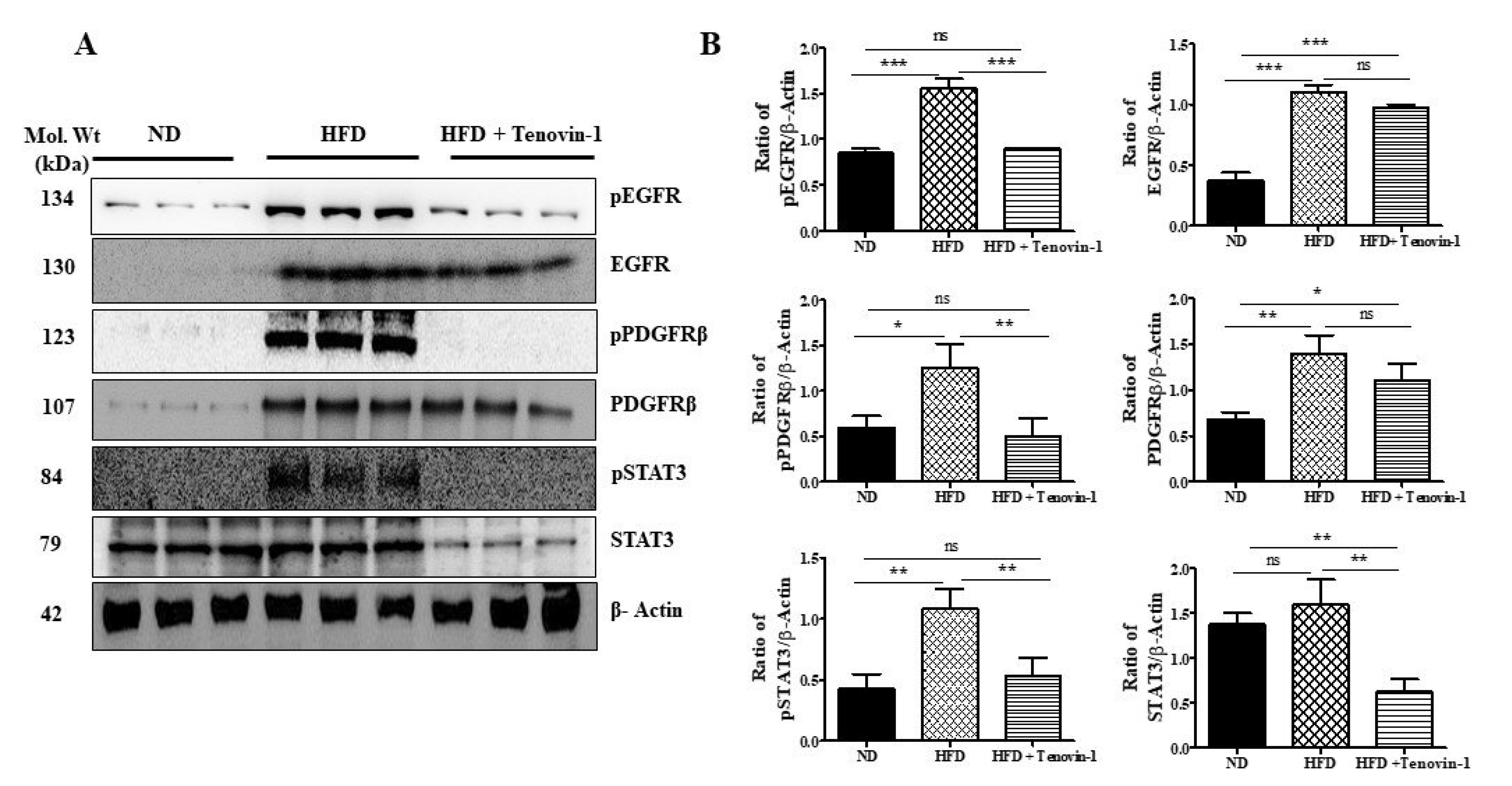 Antioxidants 11 01812 g009 Antioxidants 11 01812 g009
