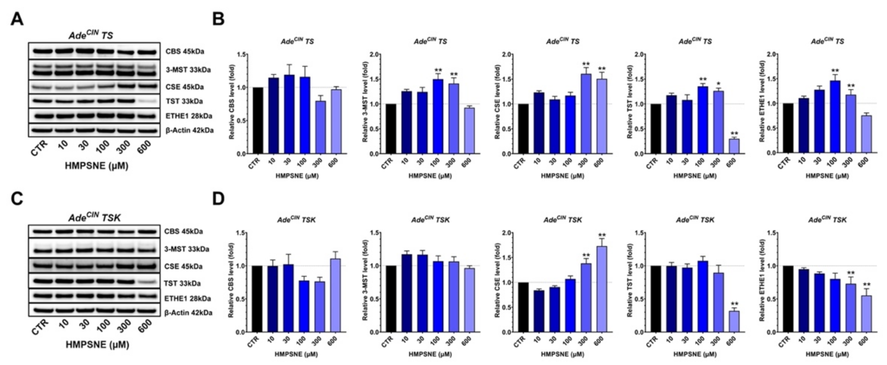 Antioxidants 11 01823 g006