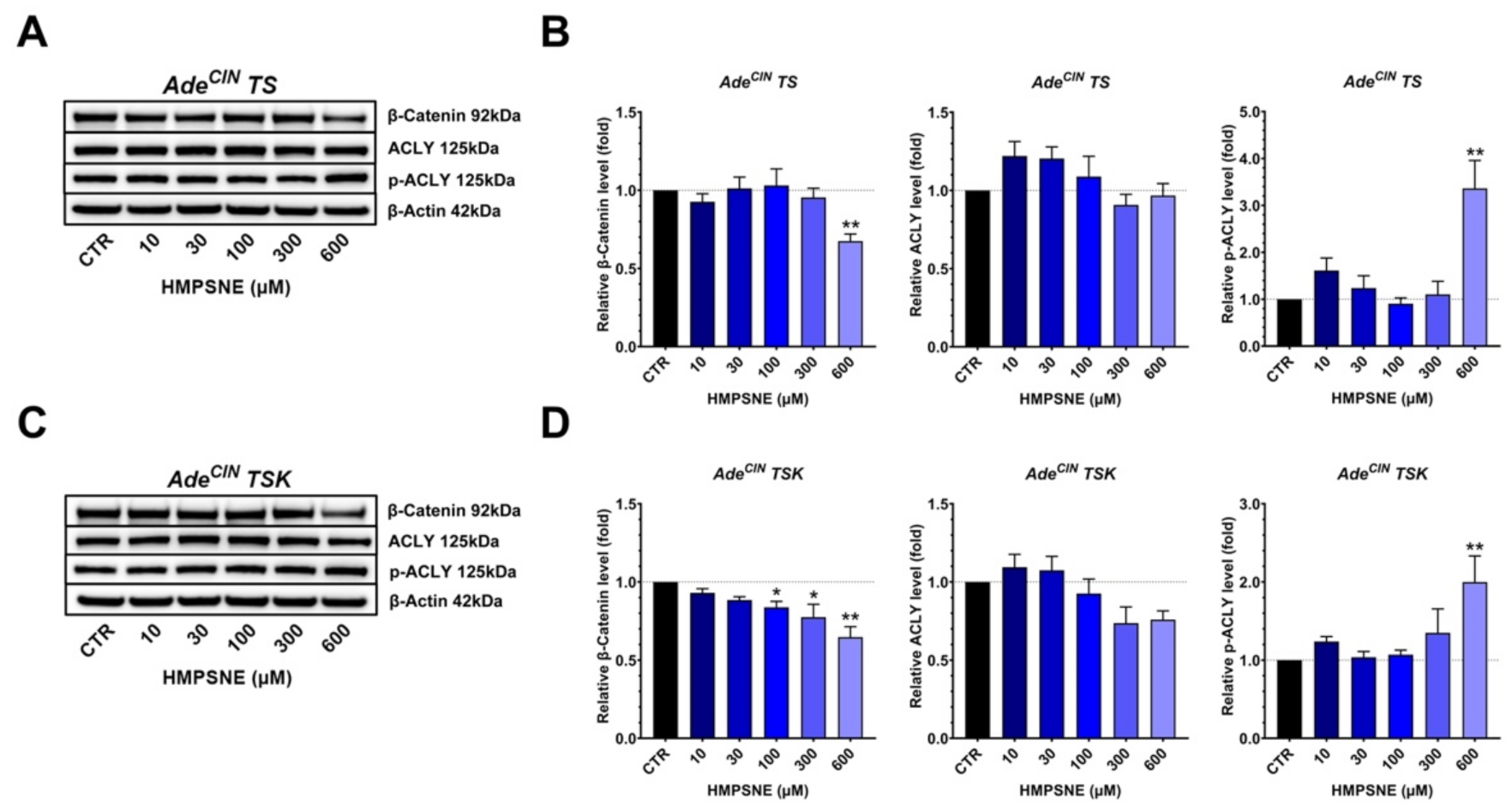 Antioxidants 11 01823 g007