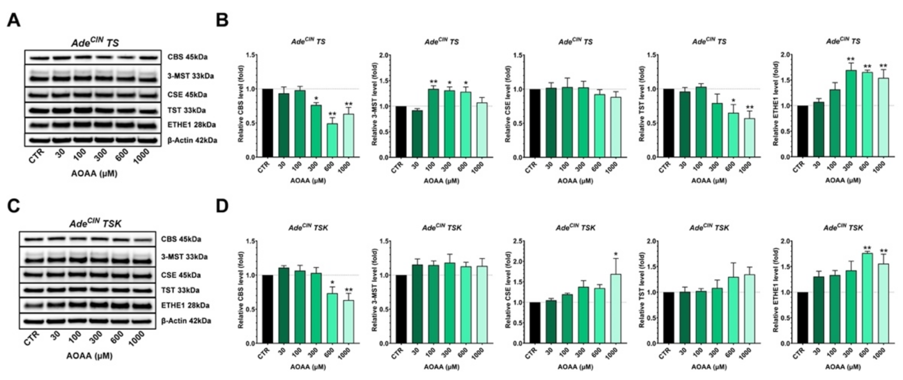 Antioxidants 11 01823 g008