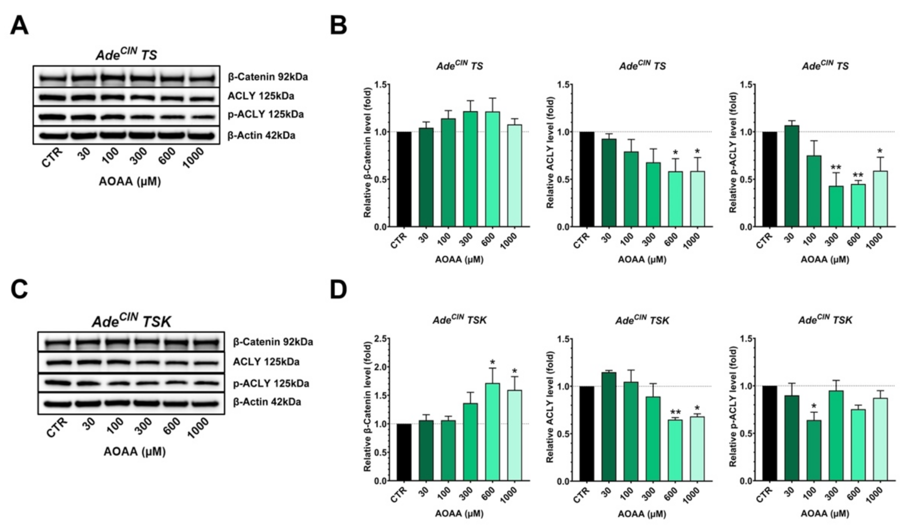 Antioxidants 11 01823 g009