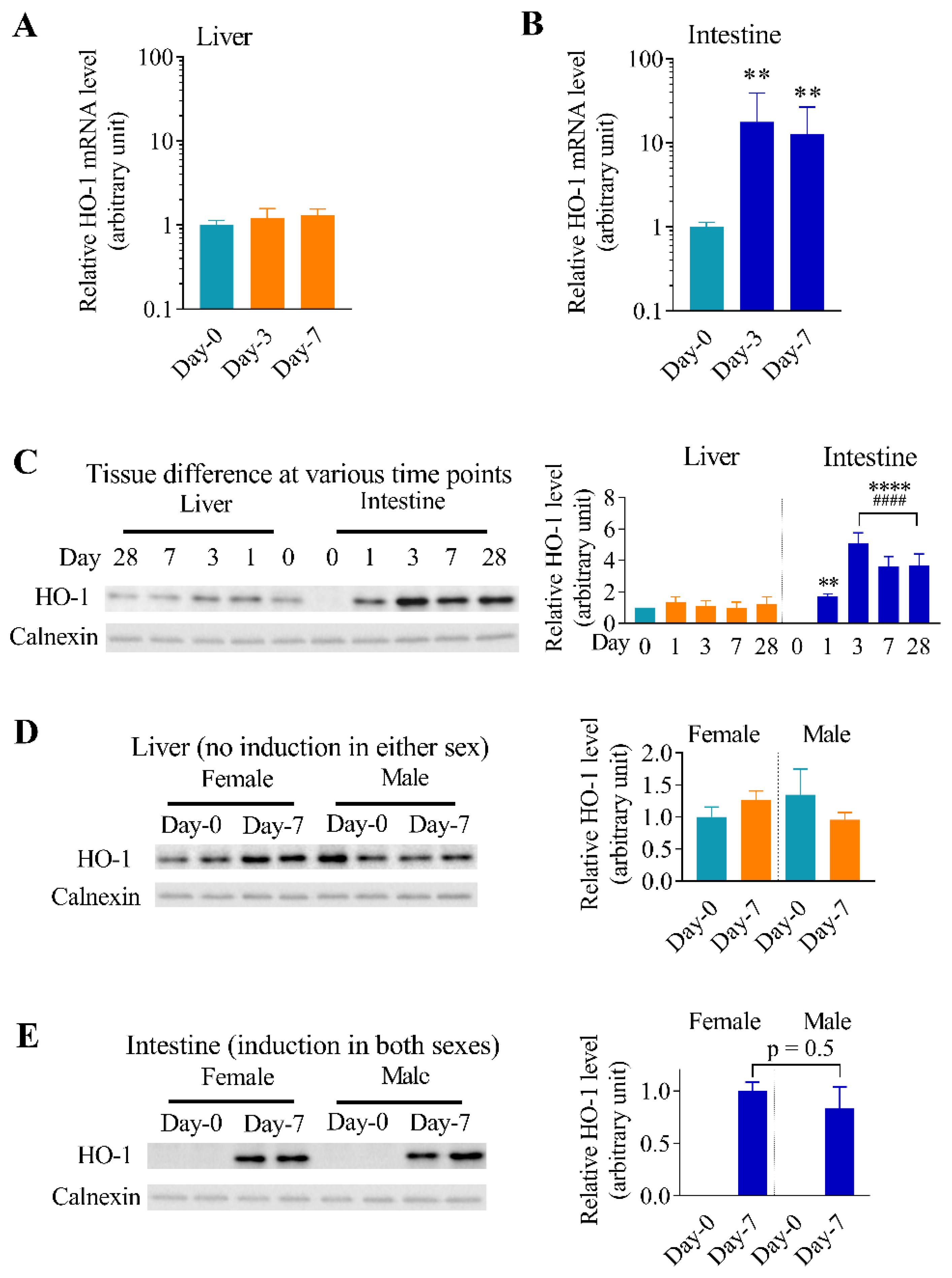 Antioxidants 11 01835 g002 Antioxidants 11 01835 g002