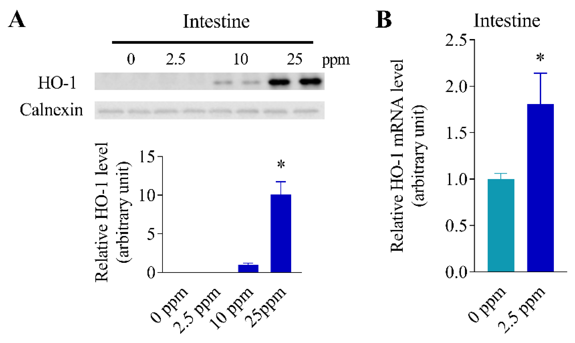 Antioxidants 11 01835 g005 Antioxidants 11 01835 g005