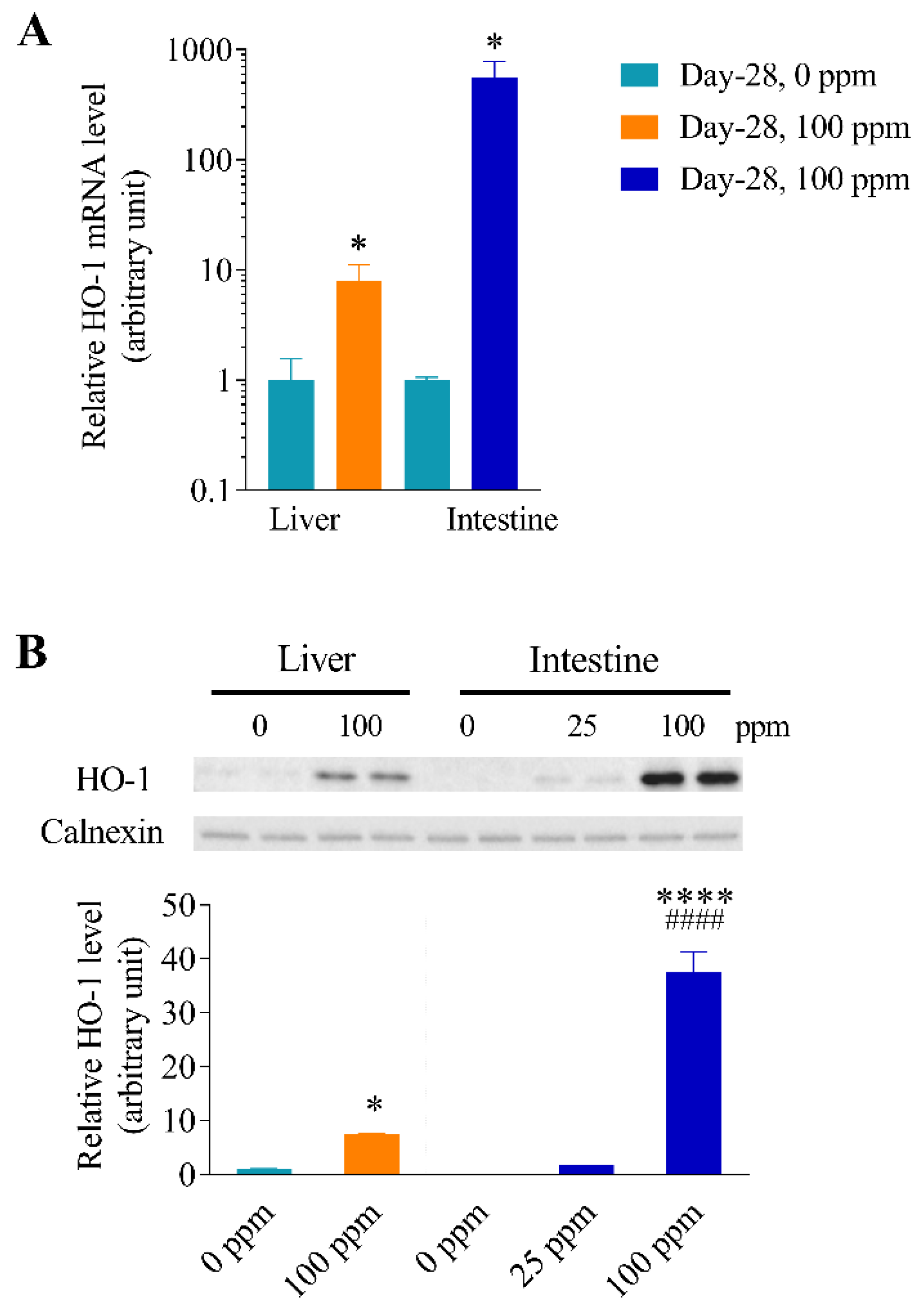 Antioxidants 11 01835 g006 Antioxidants 11 01835 g006