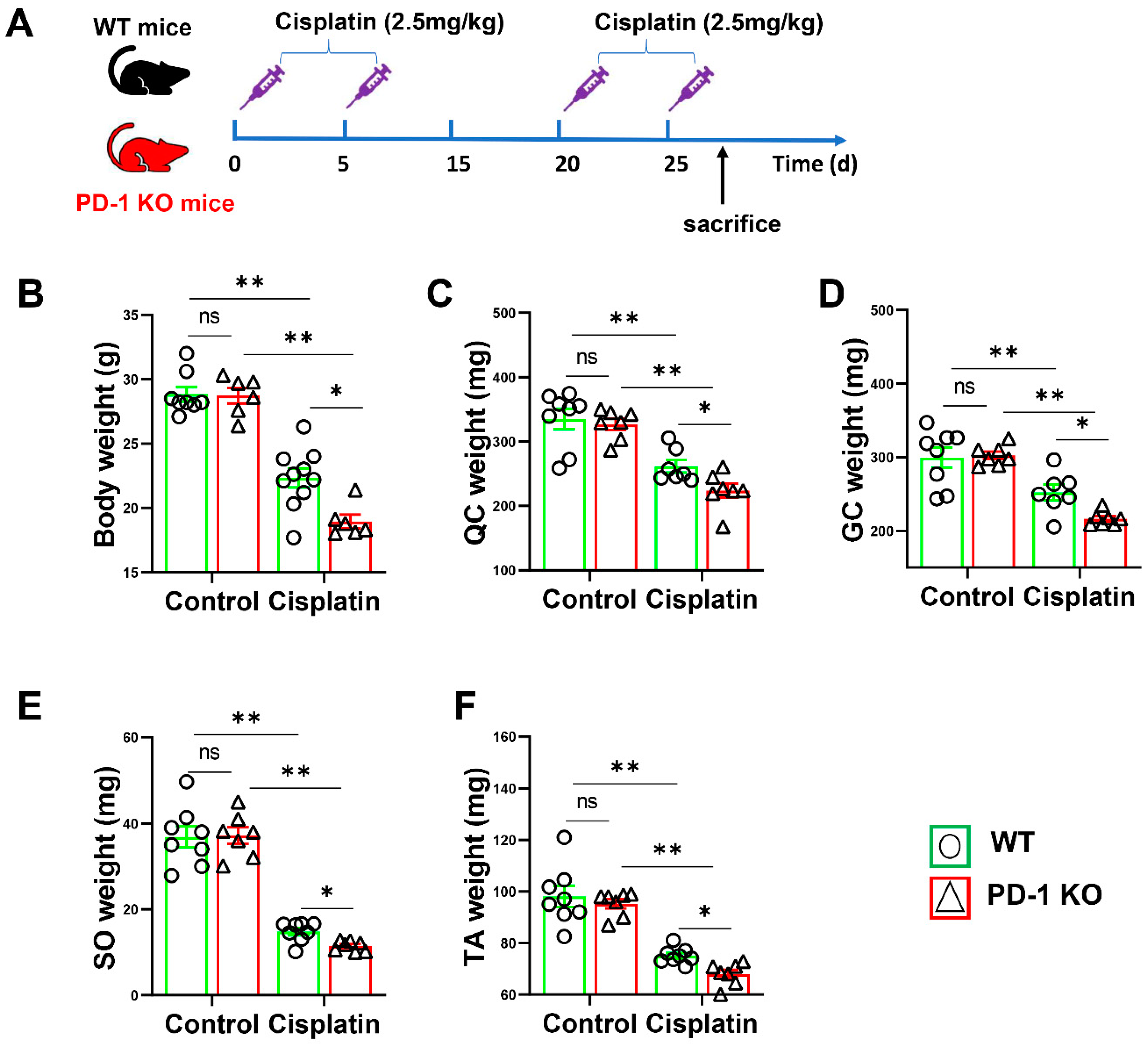 Antioxidants 11 01839 g002 Antioxidants 11 01839 g002