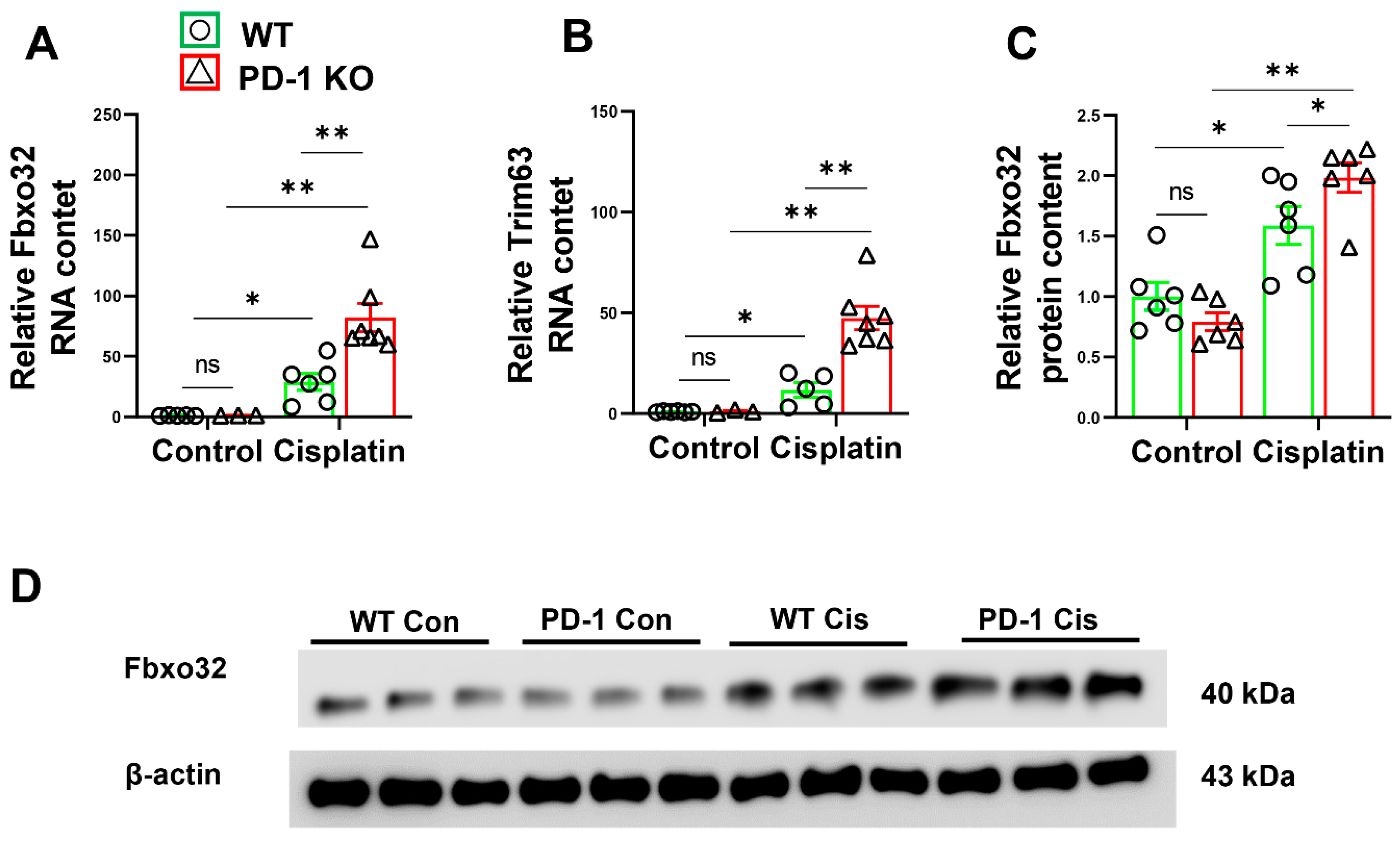 Antioxidants 11 01839 g004 Antioxidants 11 01839 g004