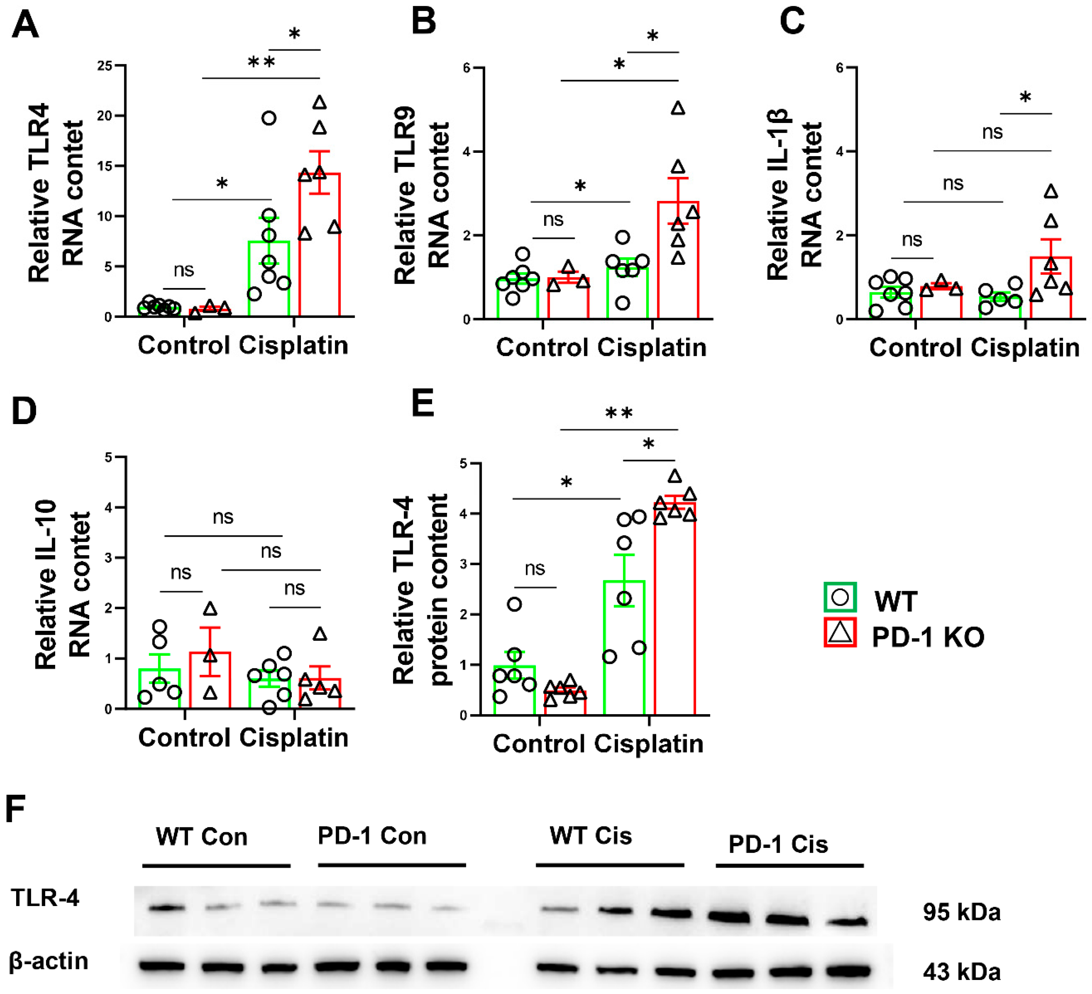 Antioxidants 11 01839 g005 Antioxidants 11 01839 g005