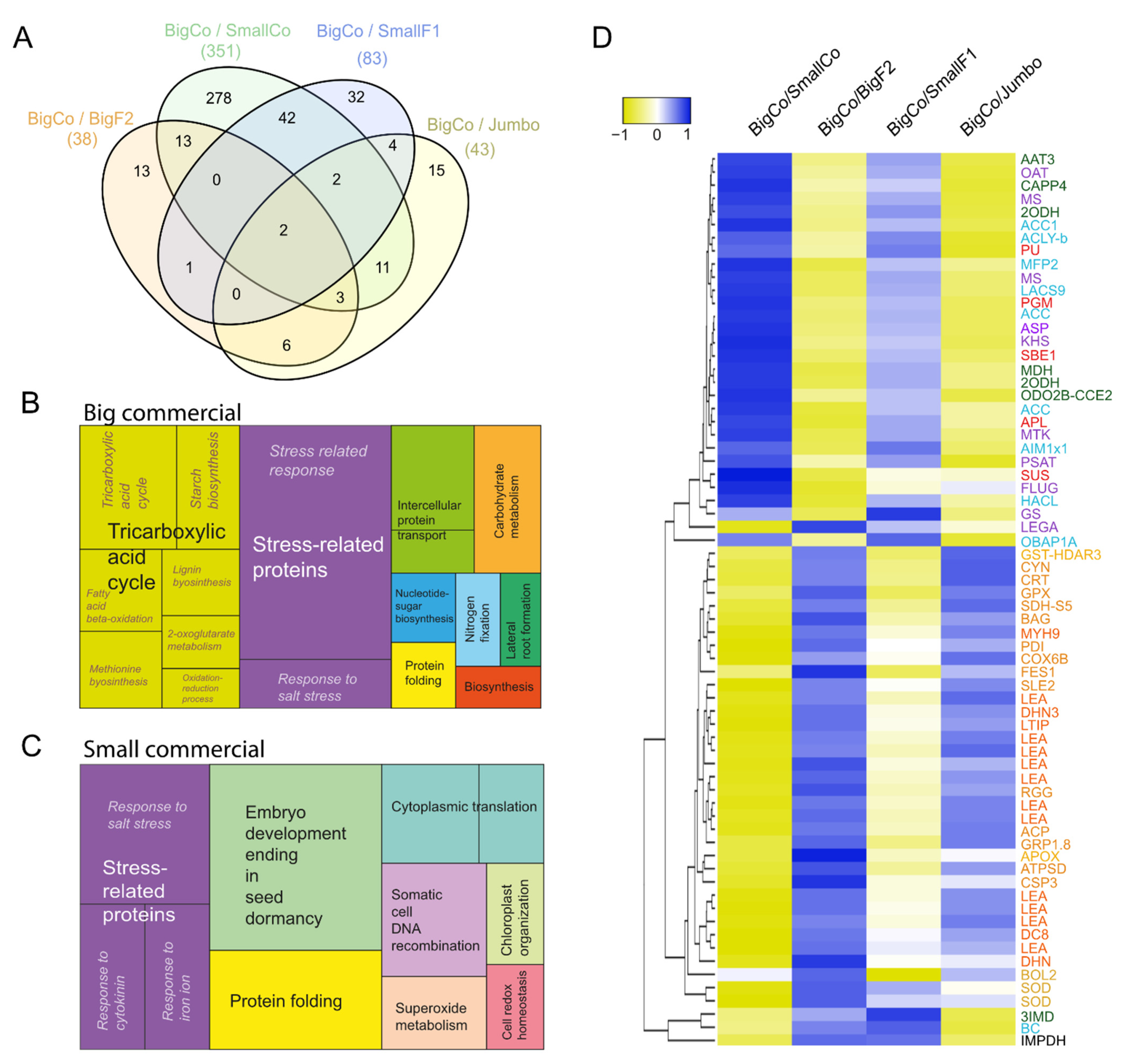 Antioxidants 11 01850 g003