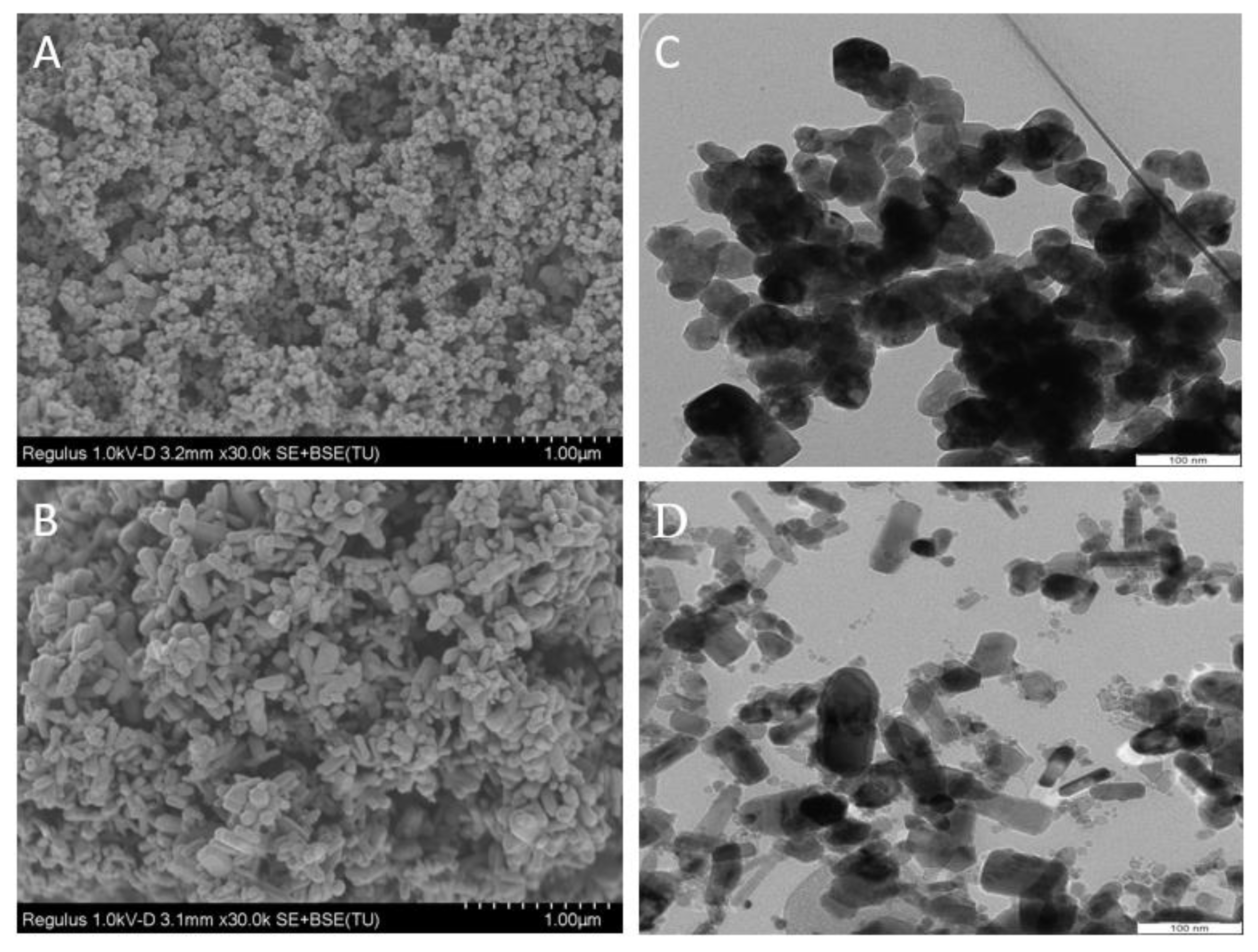 Antioxidants 11 01853 g001