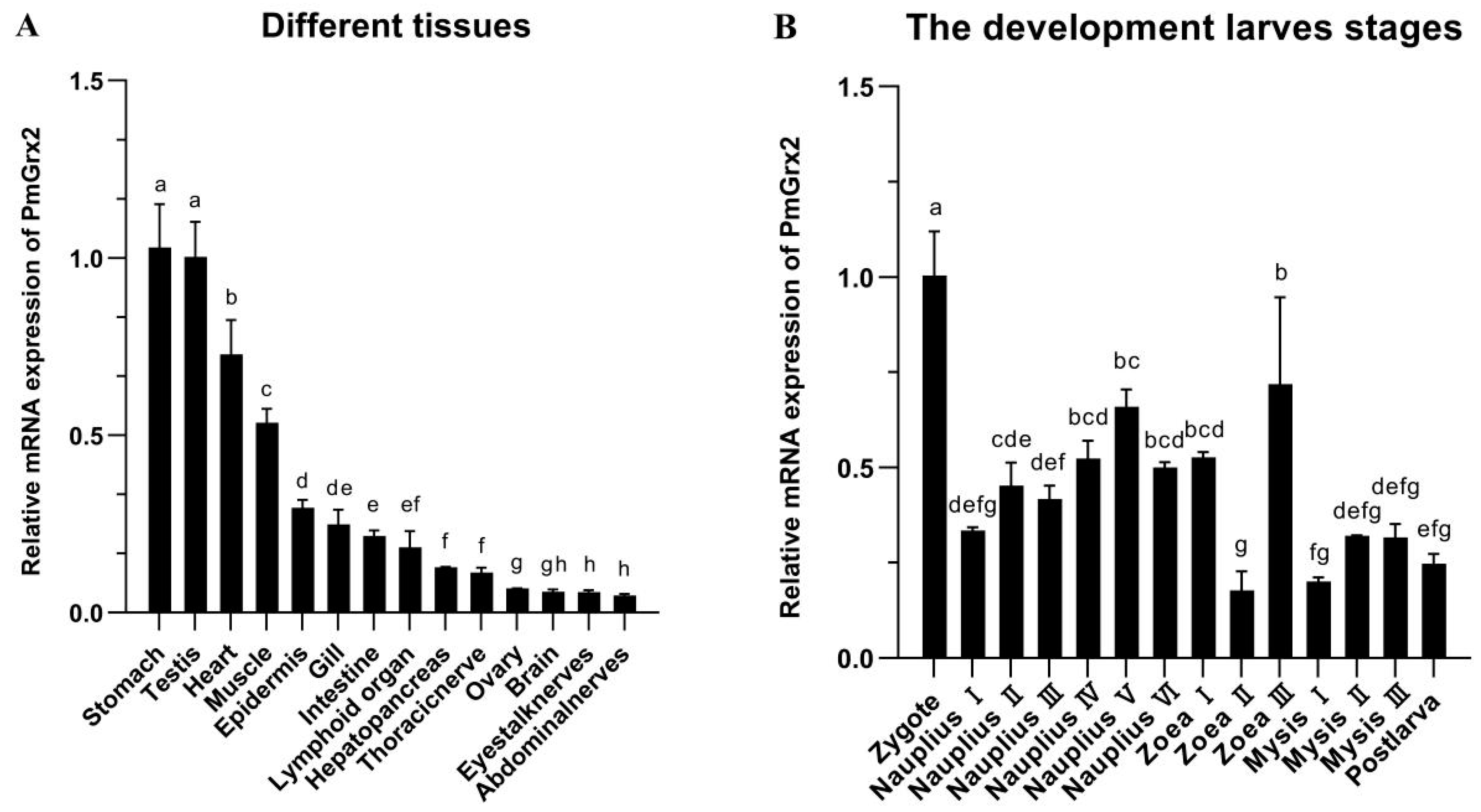Antioxidants 11 01857 g002 Antioxidants 11 01857 g002
