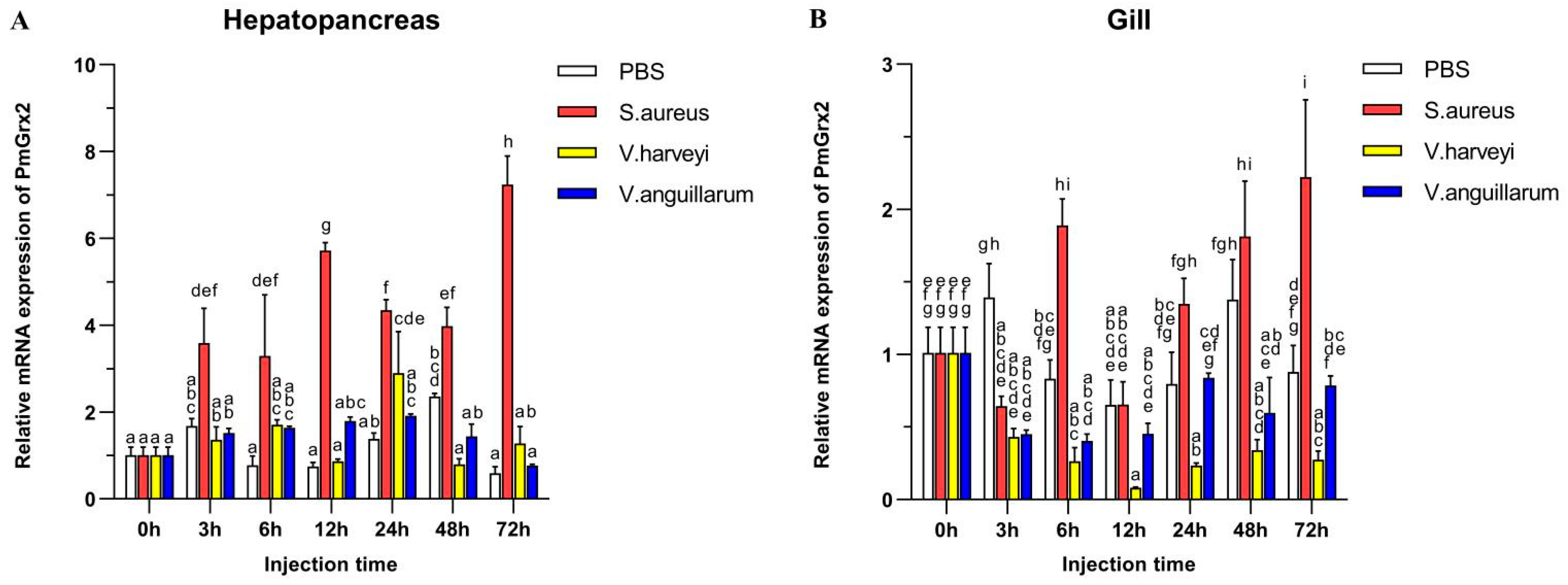 Antioxidants 11 01857 g003 Antioxidants 11 01857 g003