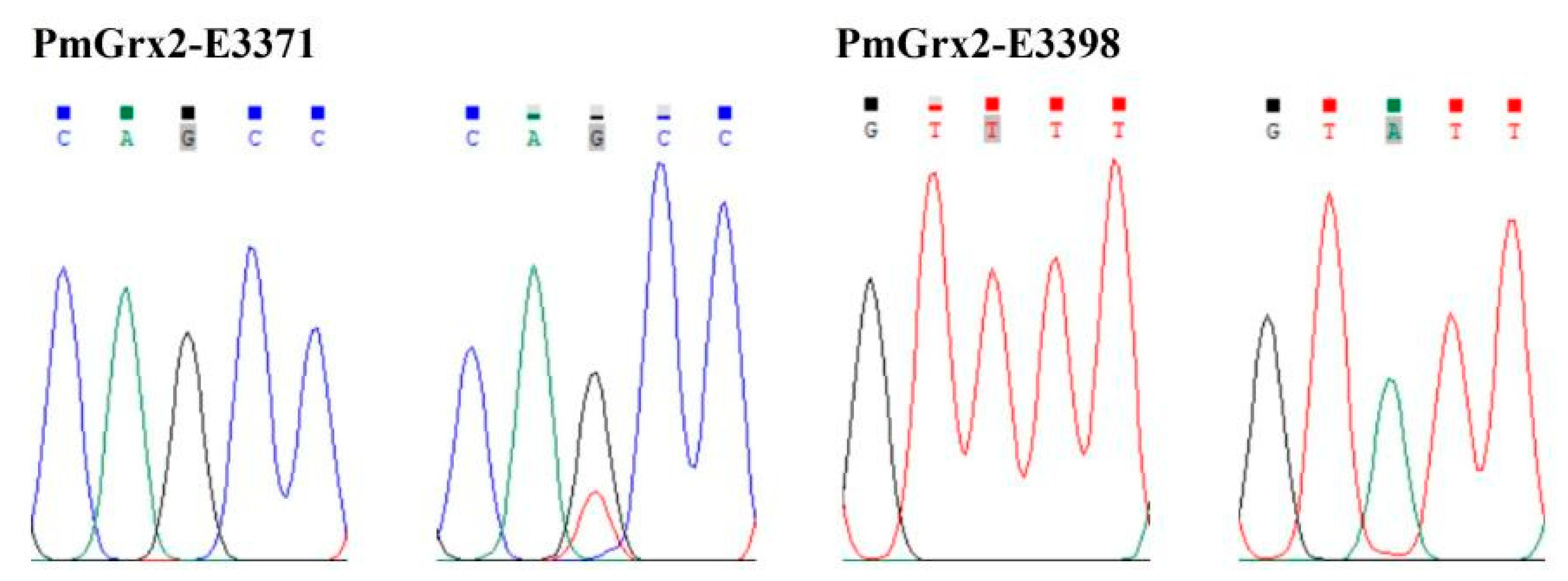 Antioxidants 11 01857 g007 Antioxidants 11 01857 g007