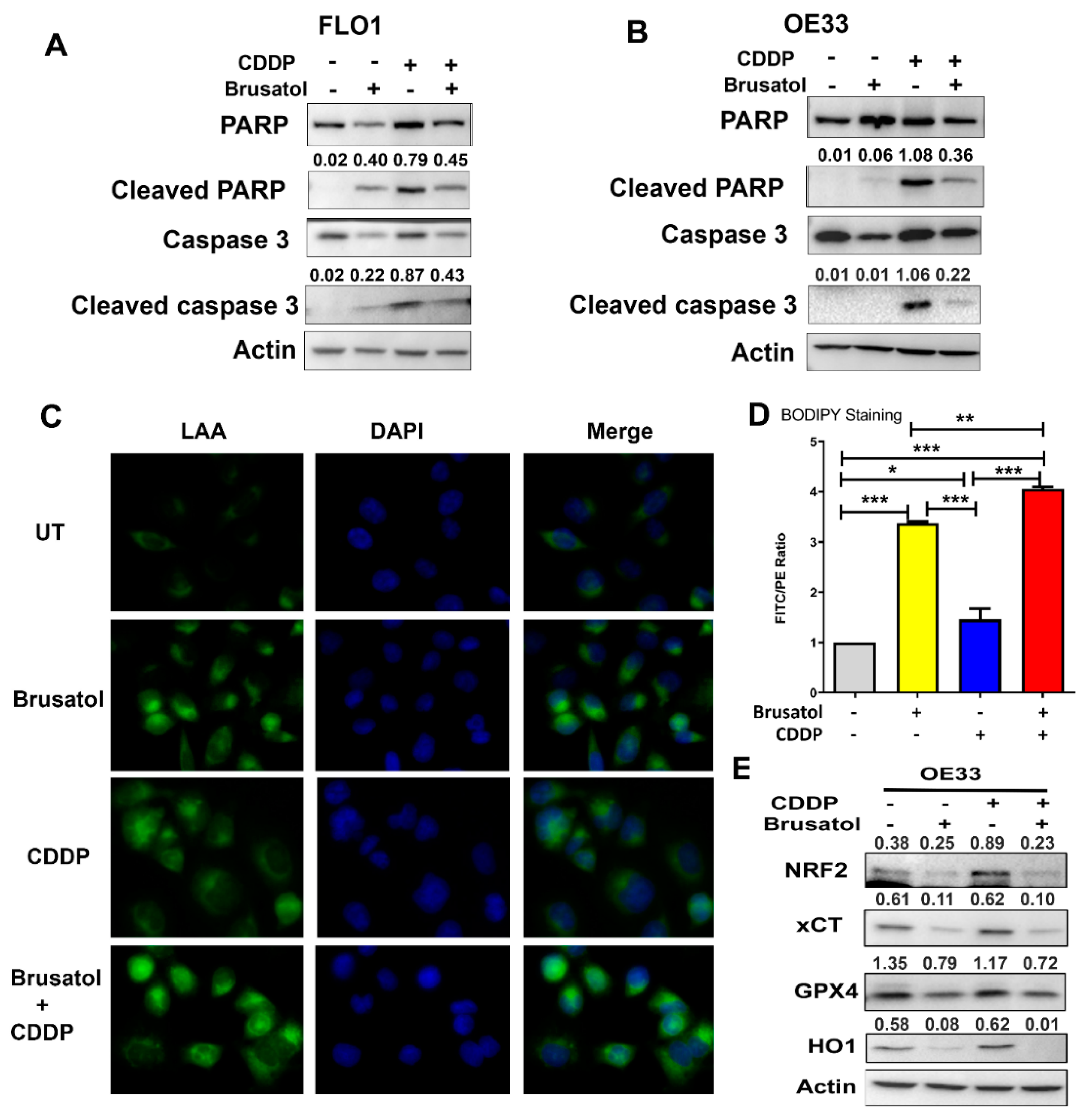 Antioxidants 11 01859 g006