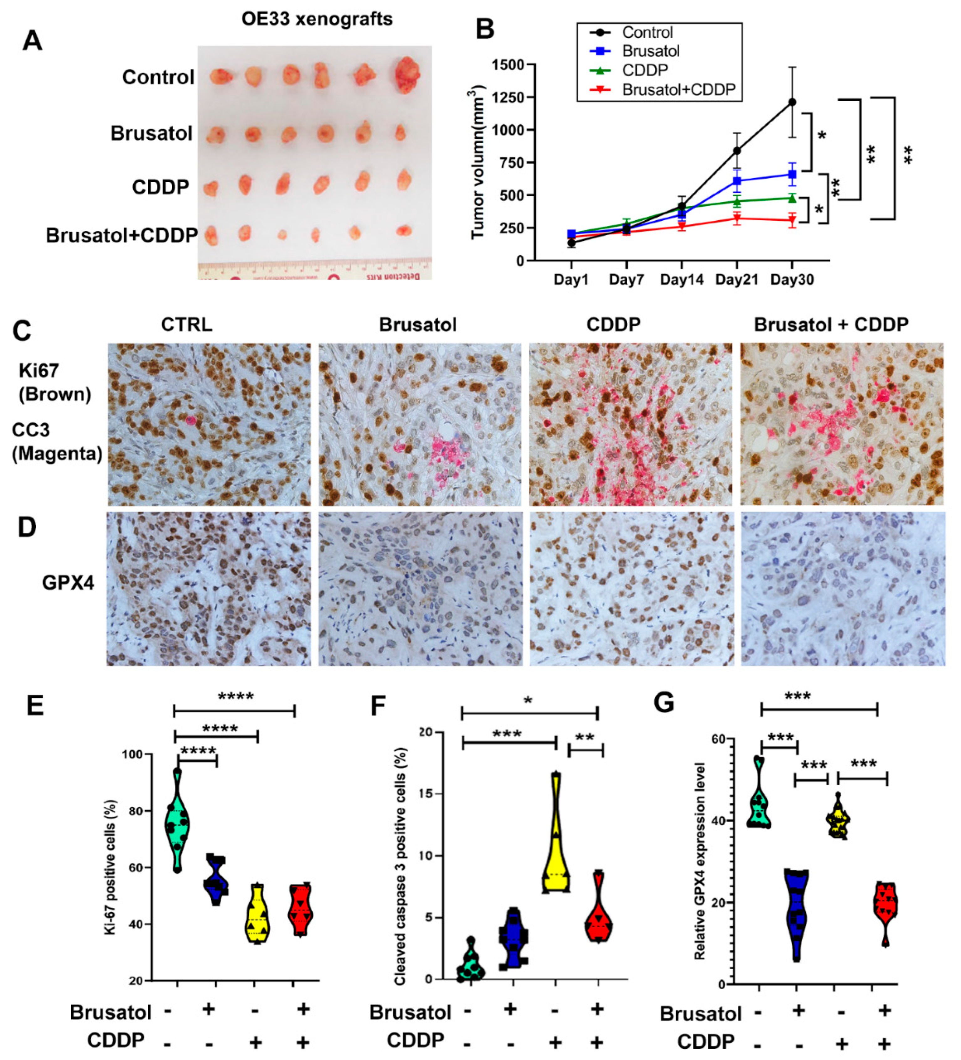 Antioxidants 11 01859 g007