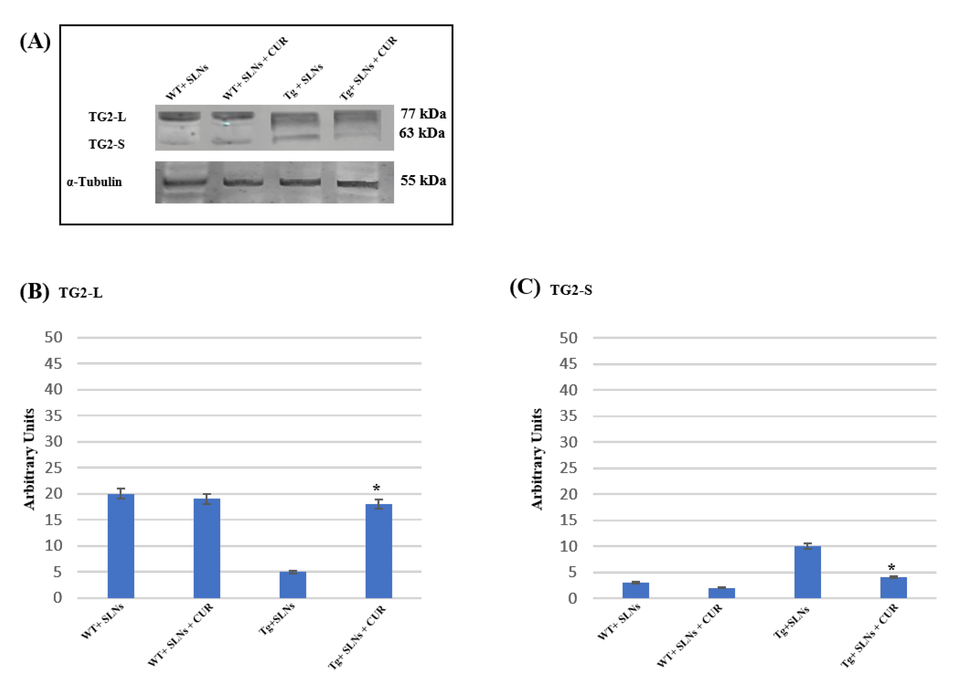 Antioxidants 11 01863 g002