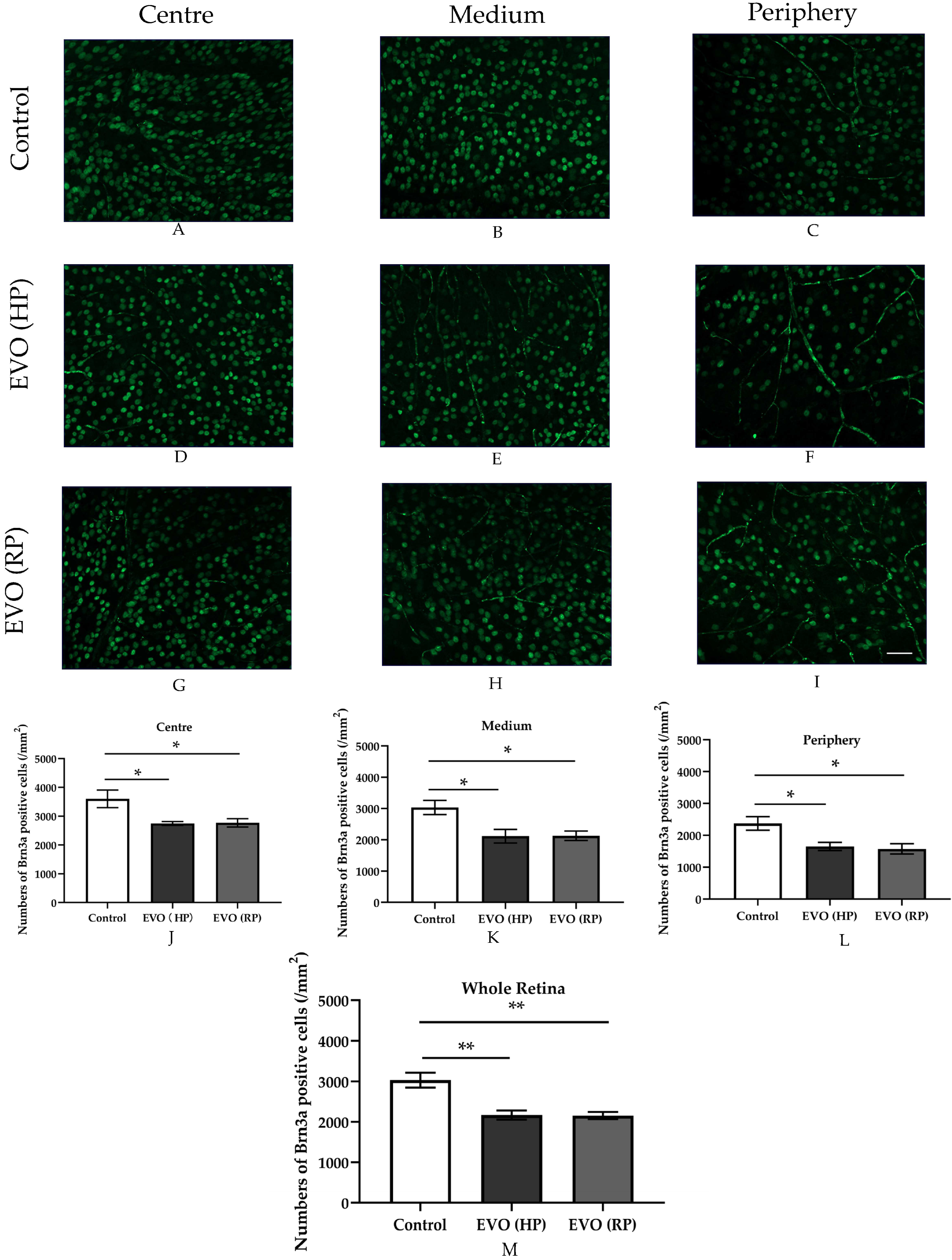 Antioxidants 11 01864 g007