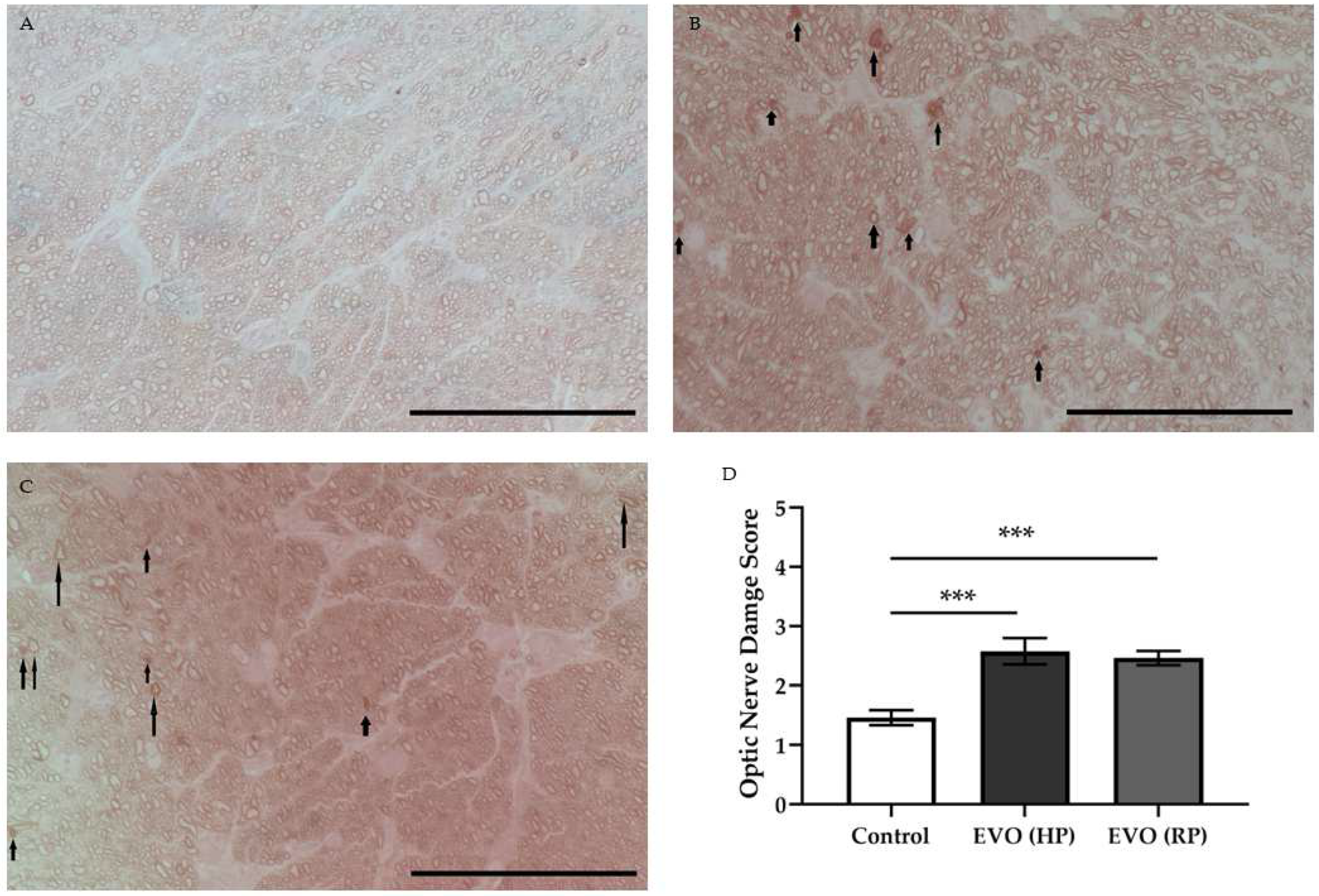 Antioxidants 11 01864 g008