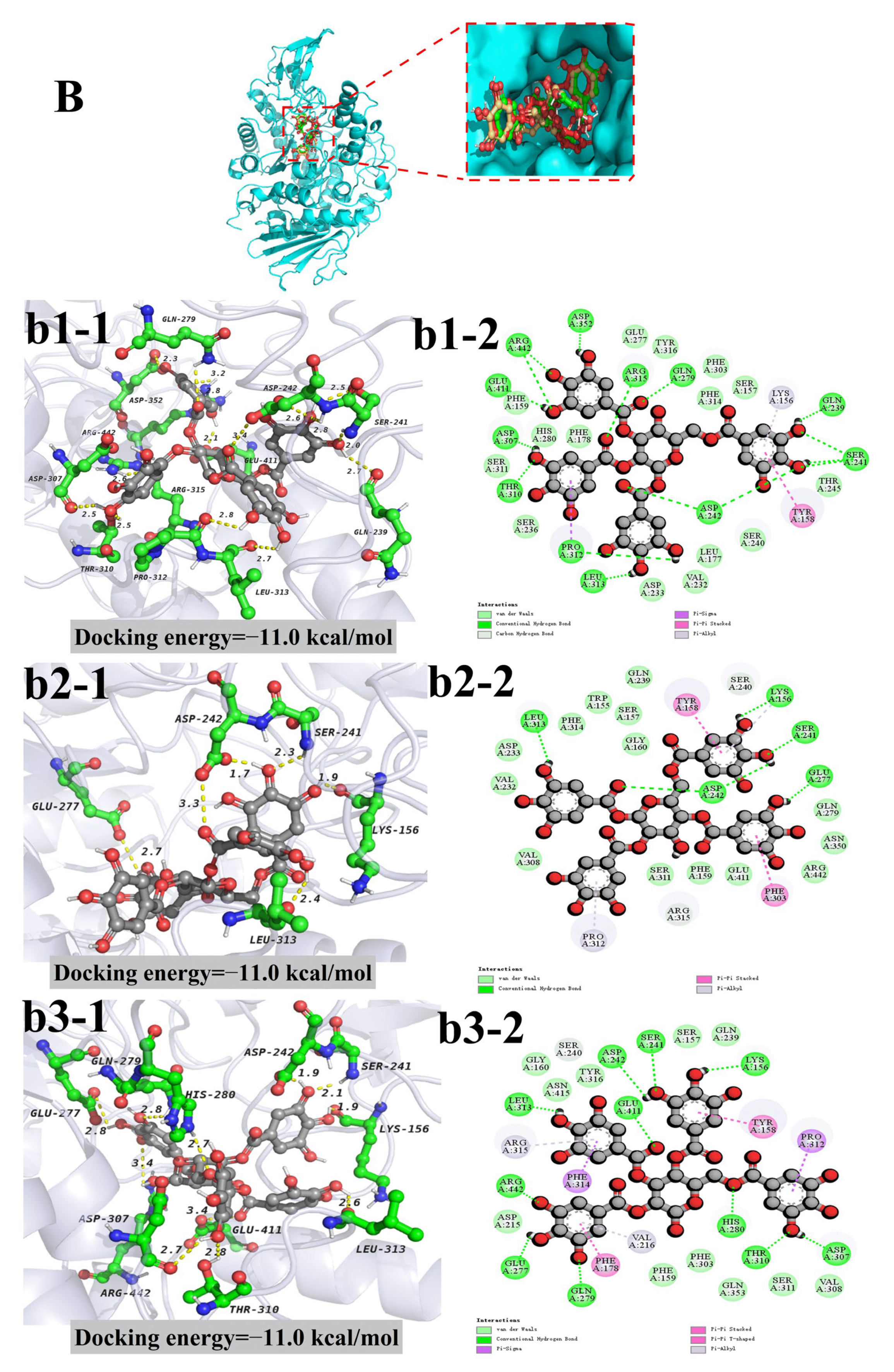 Antioxidants 11 01873 g005b