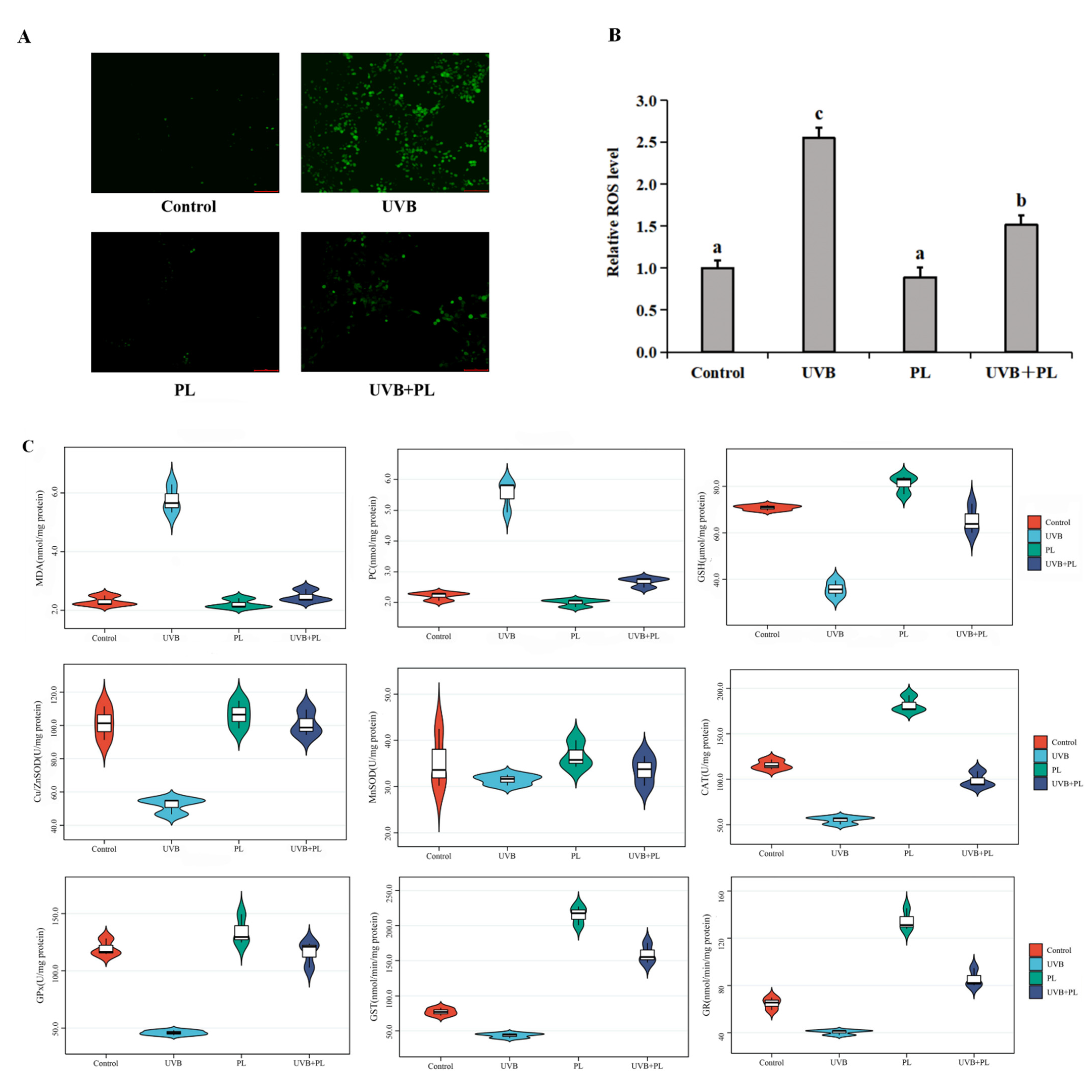 Antioxidants 11 01875 g003a Antioxidants 11 01875 g003a