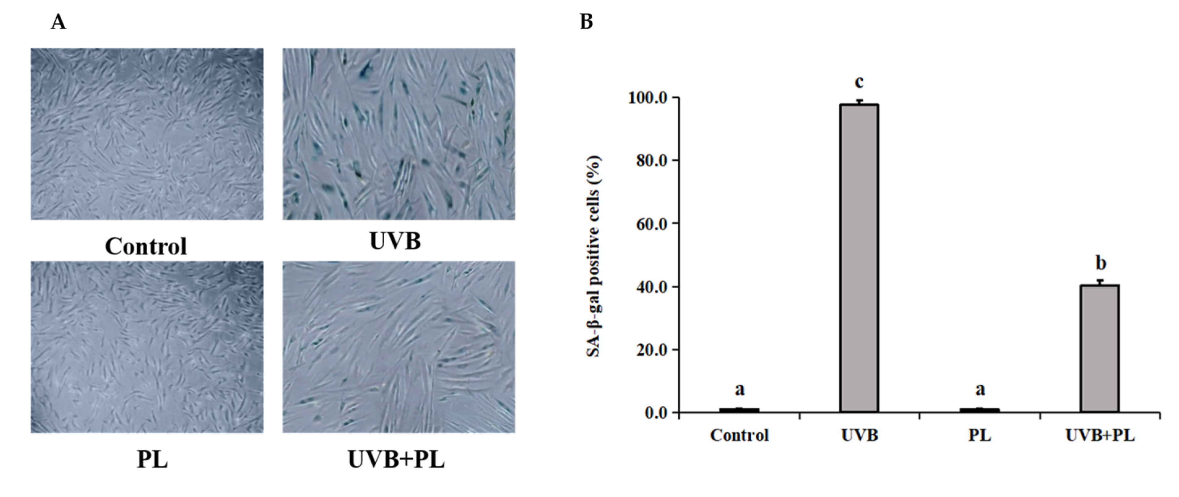 Antioxidants 11 01875 g004 Antioxidants 11 01875 g004