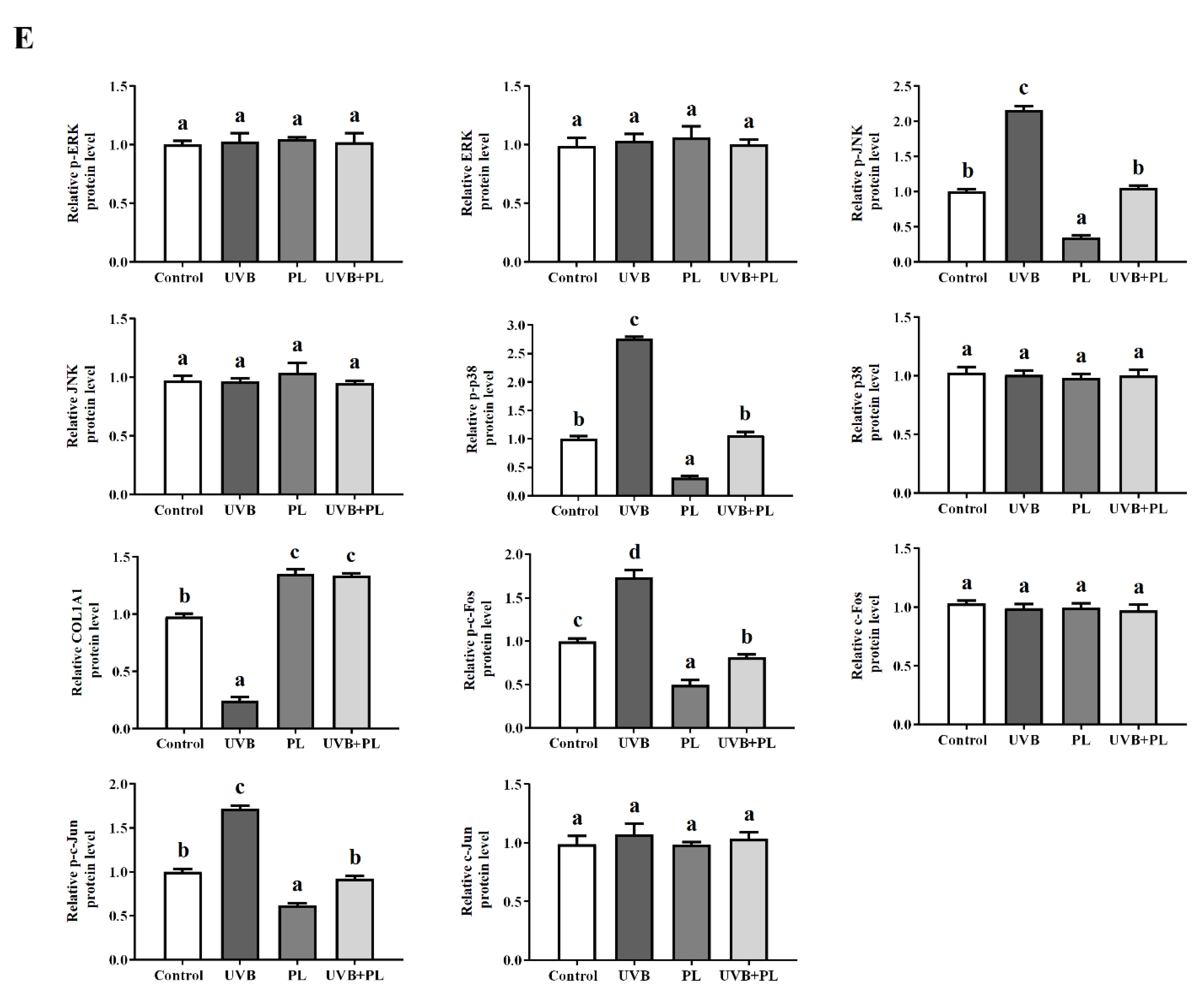 Antioxidants 11 01875 g005b Antioxidants 11 01875 g005b