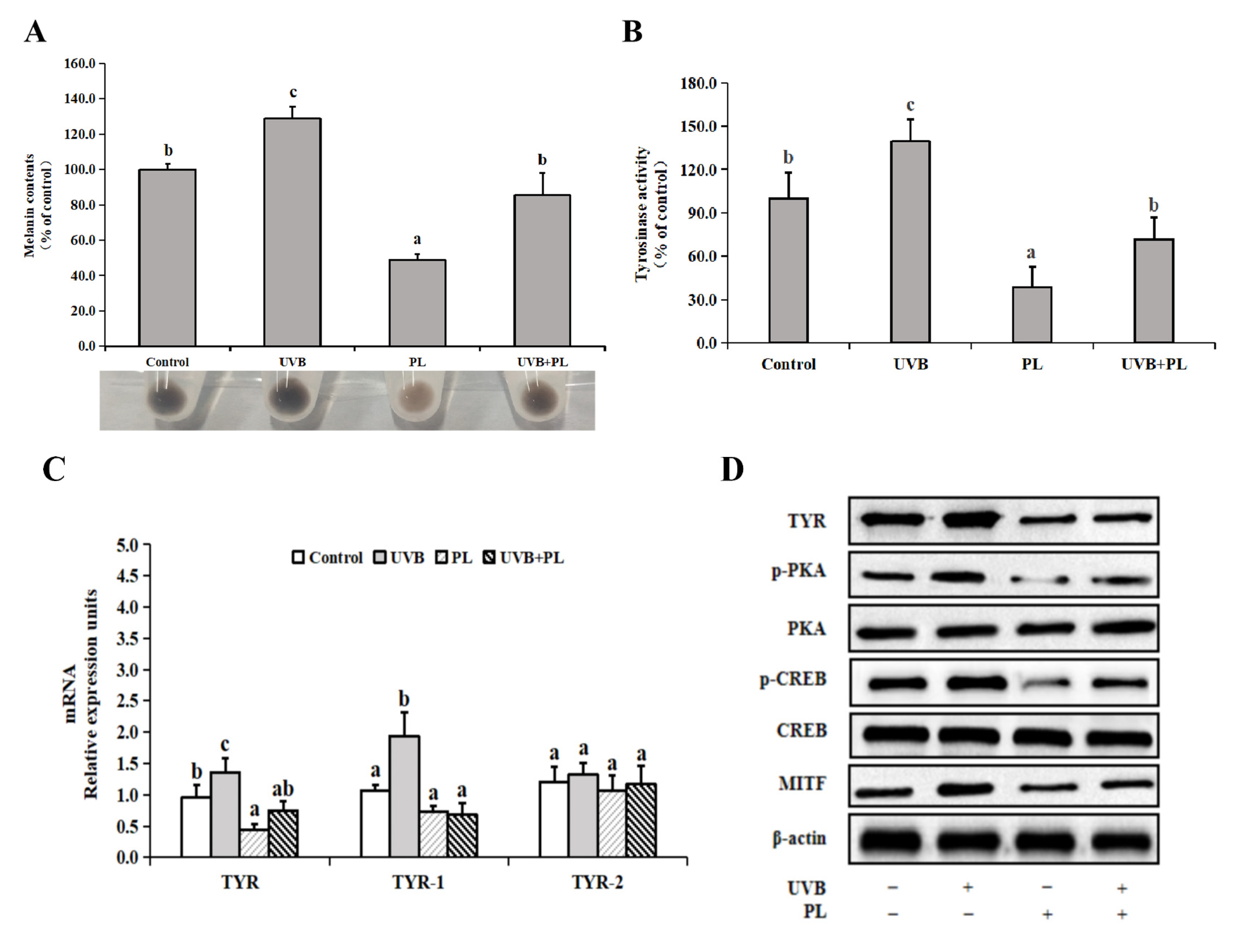 Antioxidants 11 01875 g006a Antioxidants 11 01875 g006a