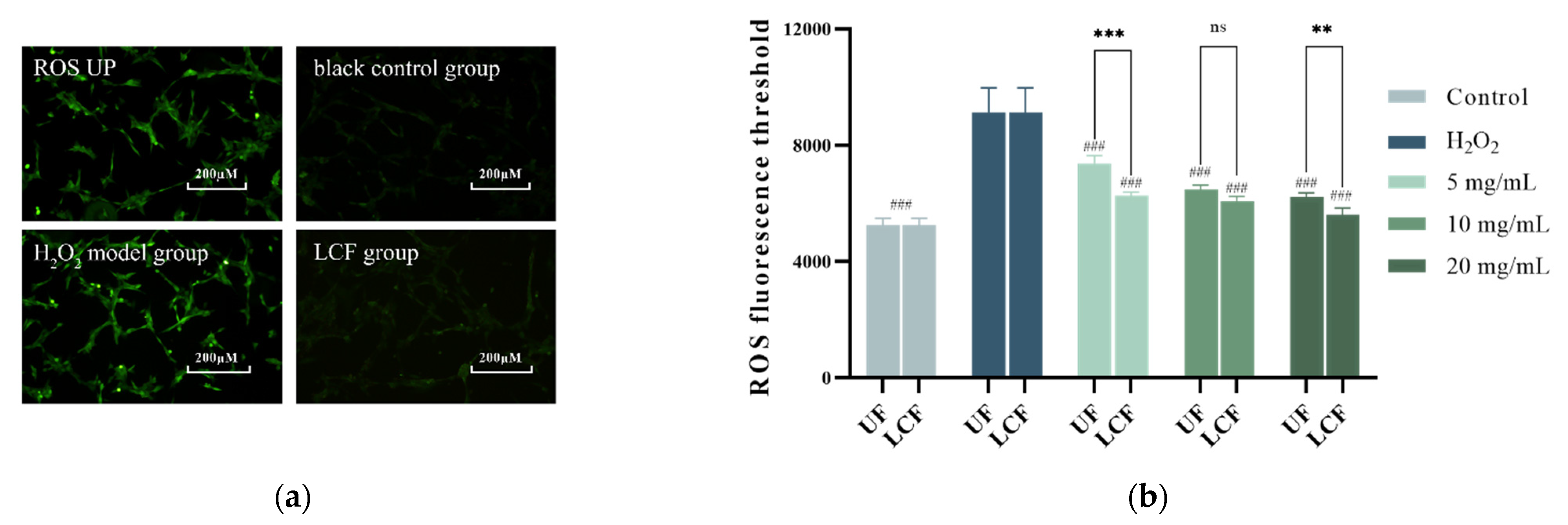 Antioxidants 11 01881 g006 Antioxidants 11 01881 g006