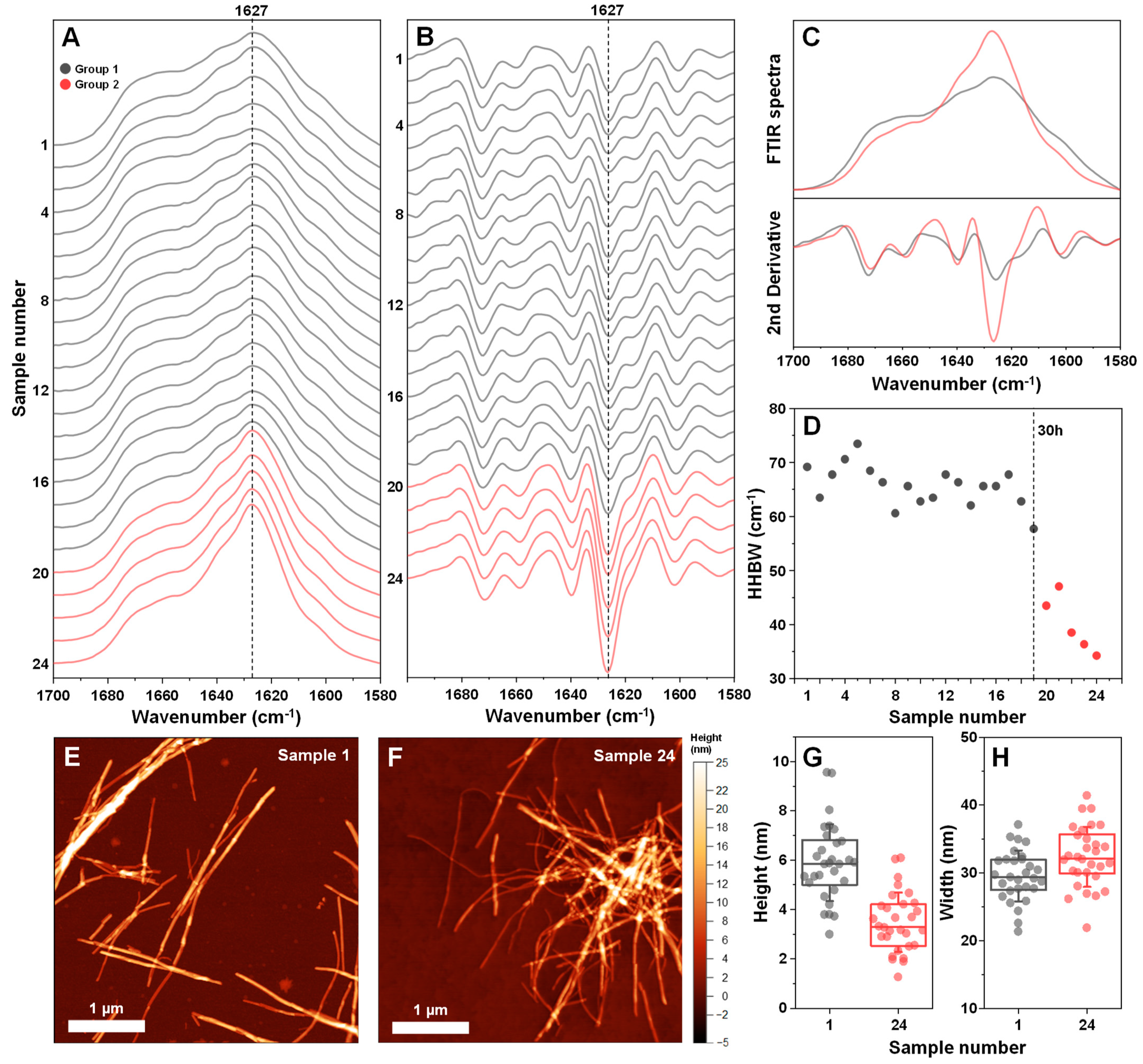 Antioxidants 11 01887 g004 Antioxidants 11 01887 g004