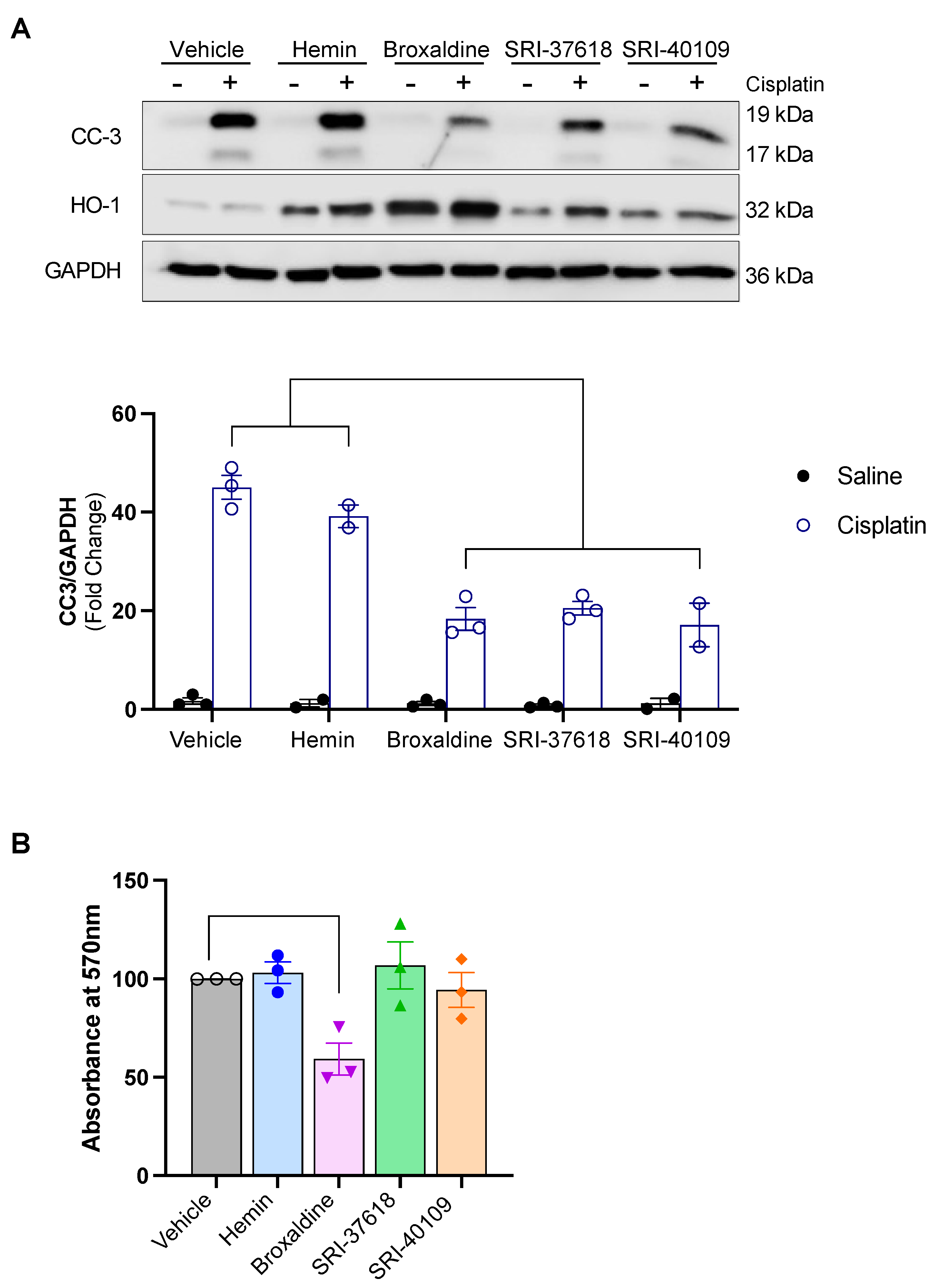 Antioxidants 11 01888 g007 Antioxidants 11 01888 g007