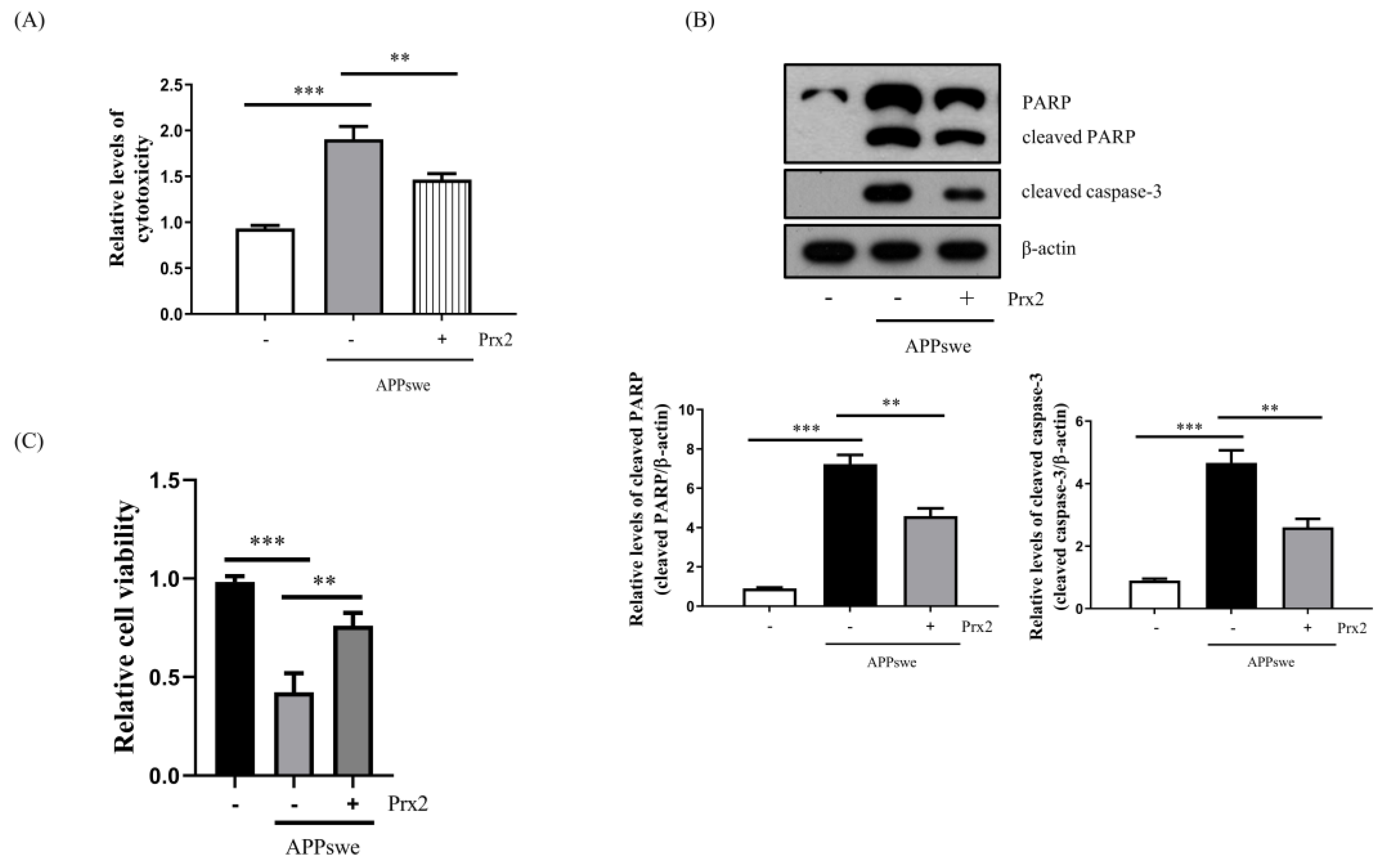 Antioxidants 11 01889 g006