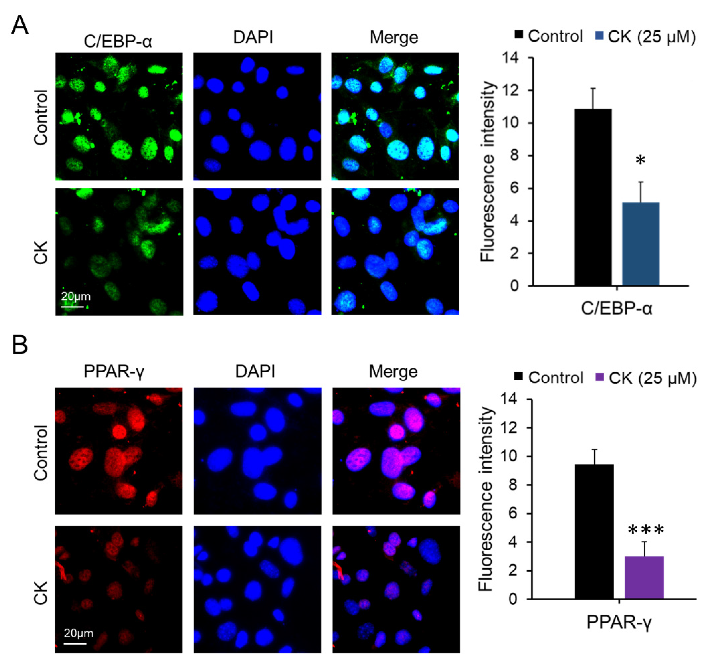 Antioxidants 11 01890 g003